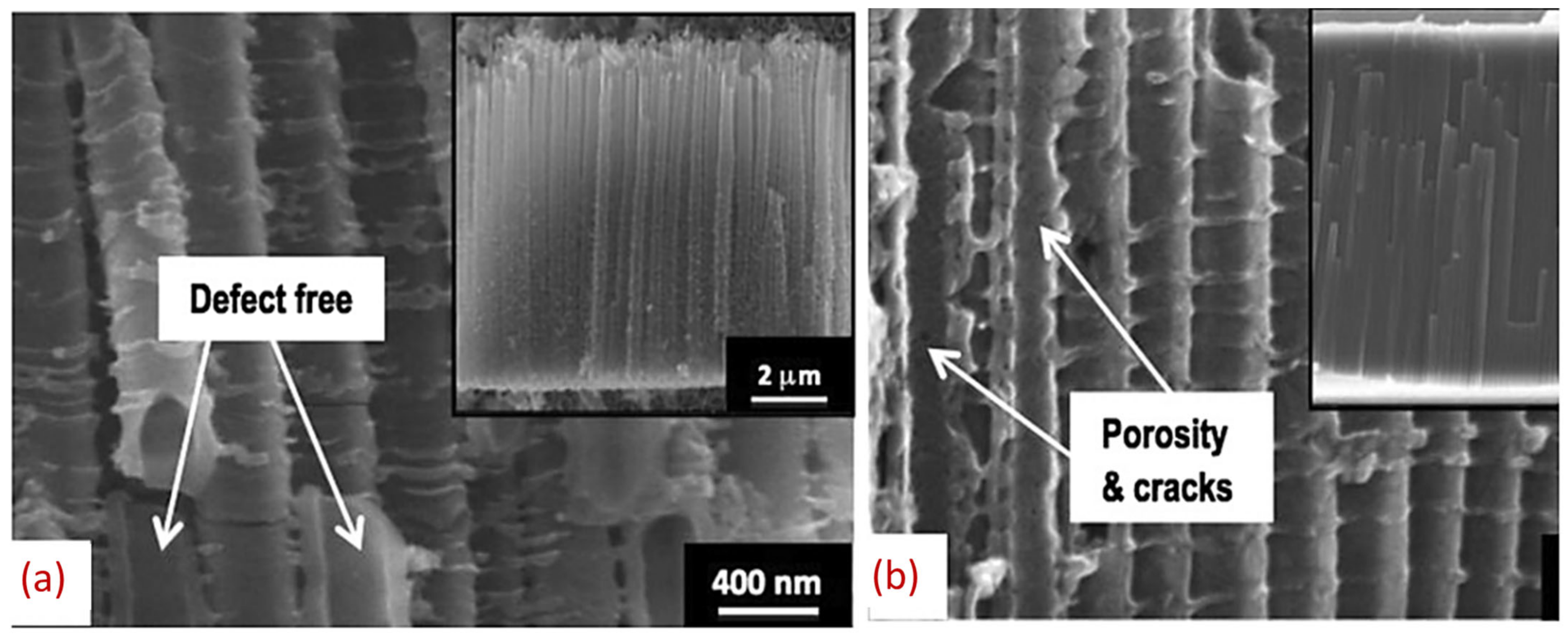 Nanomaterials 12 02034 g019