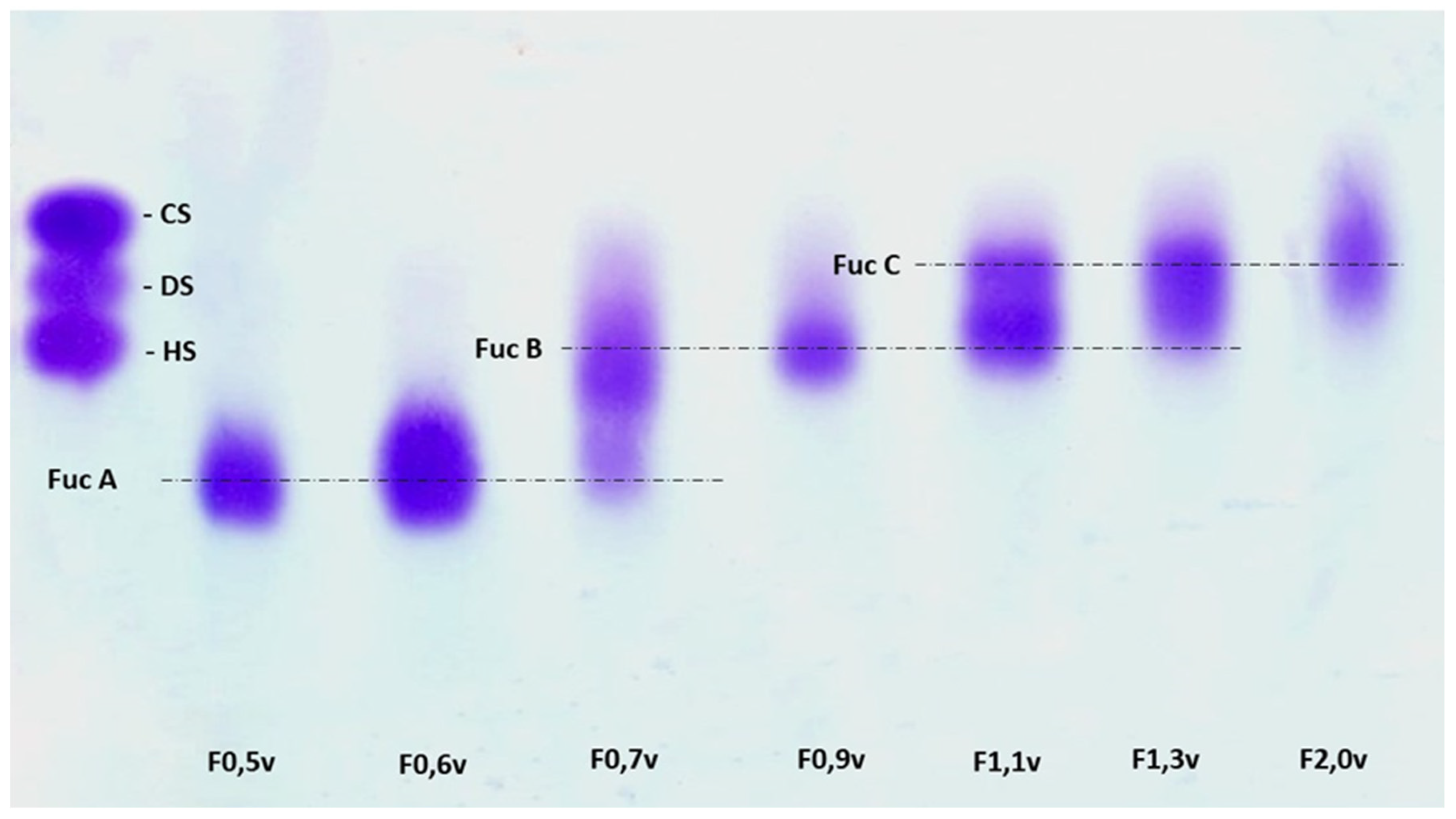 Nanomaterials 12 02059 g001