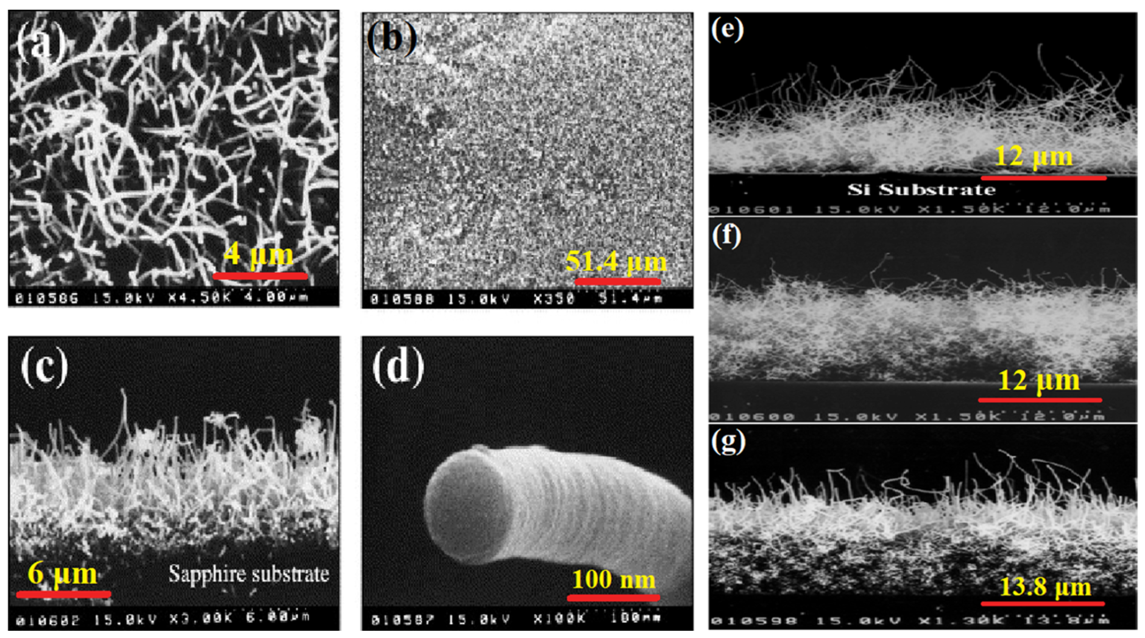 Nanomaterials 12 02061 g007