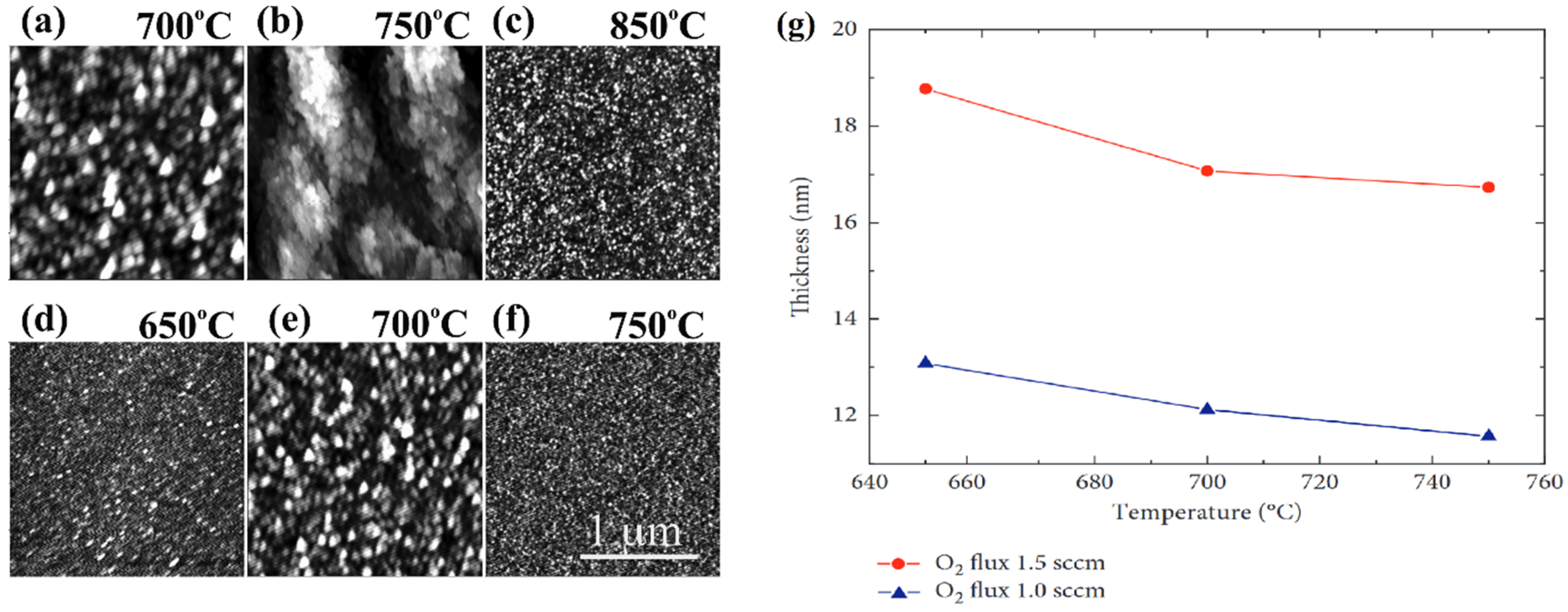Nanomaterials 12 02061 g010