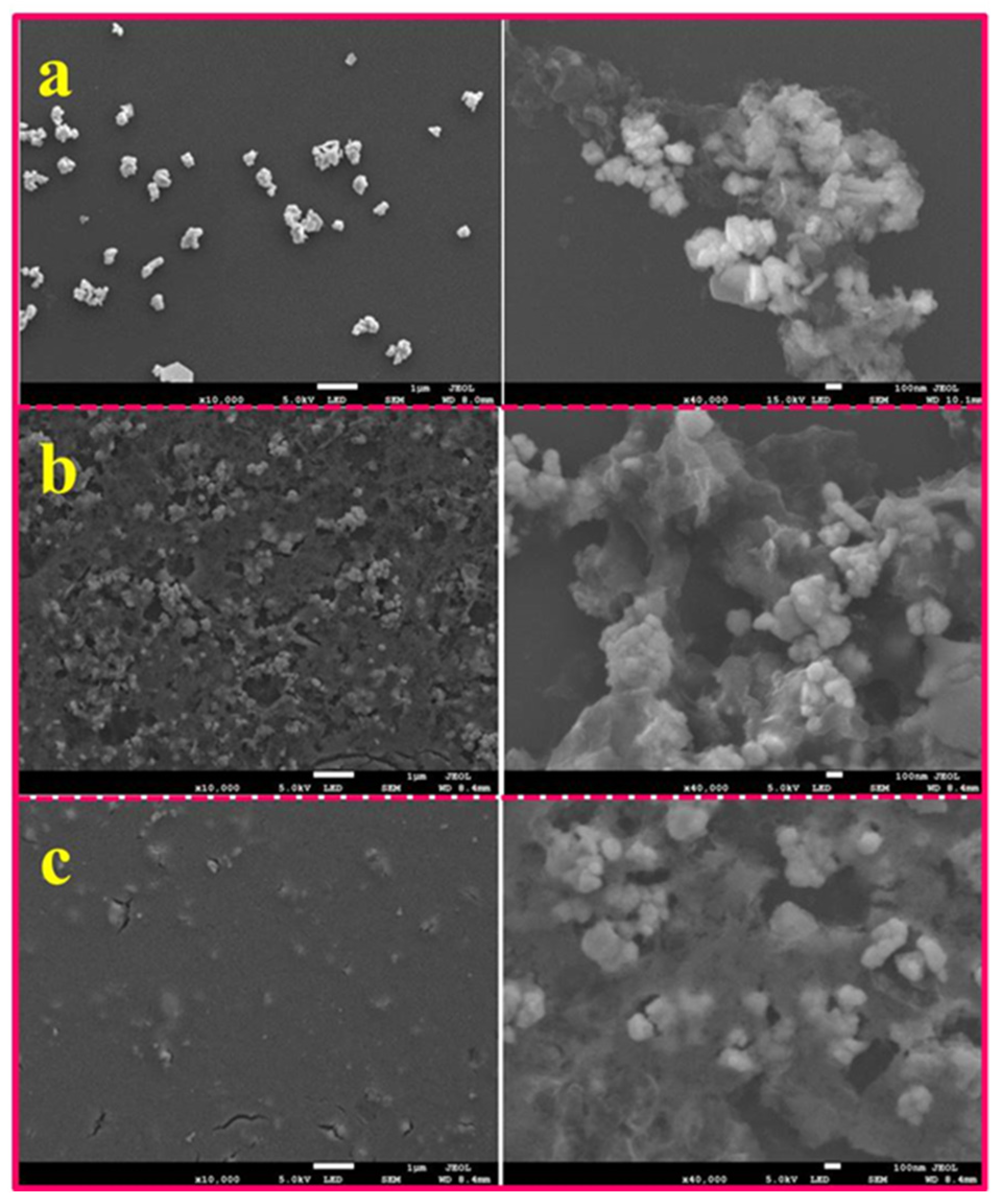Nanomaterials 12 02075 g003