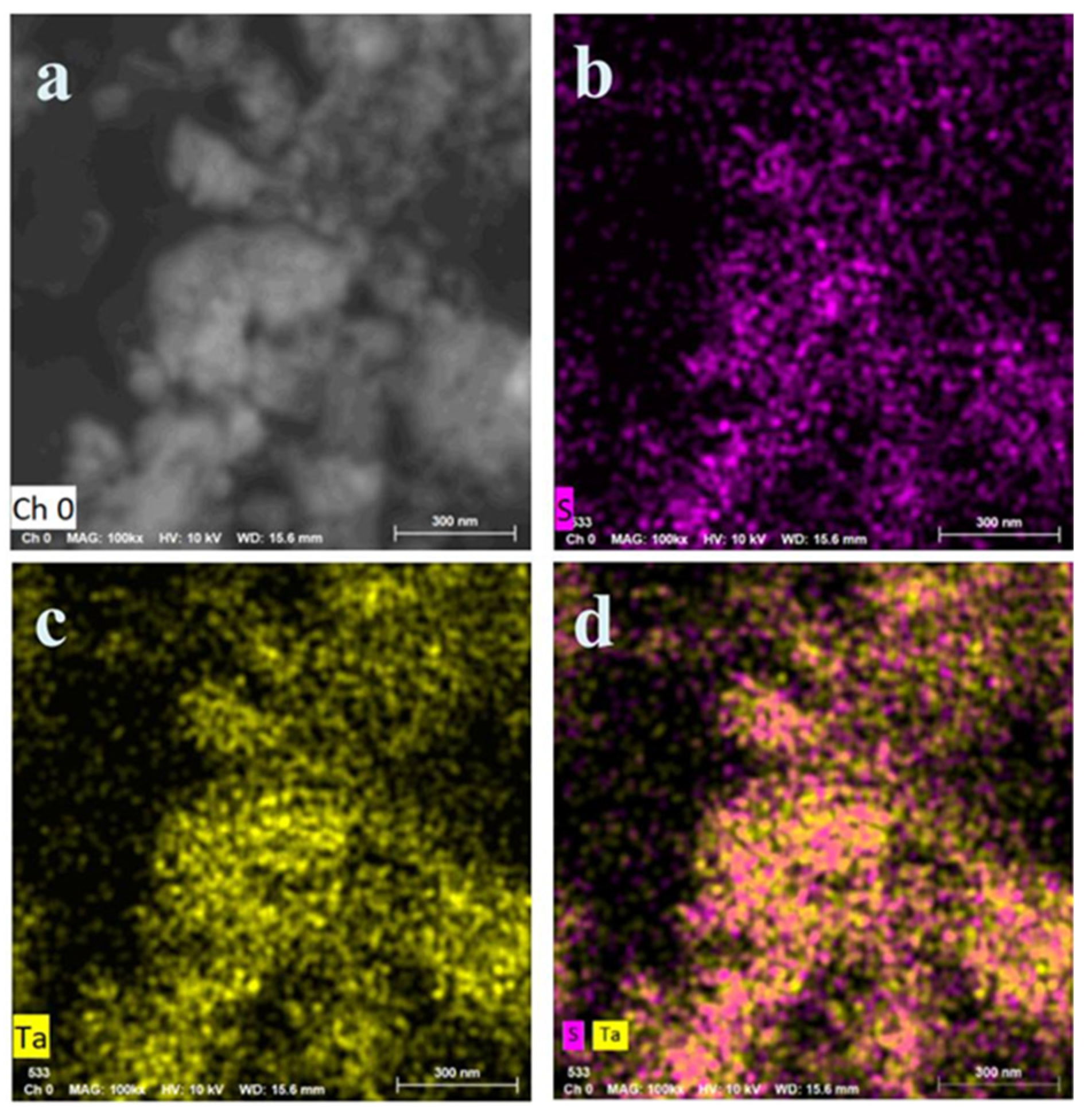 Nanomaterials 12 02075 g005