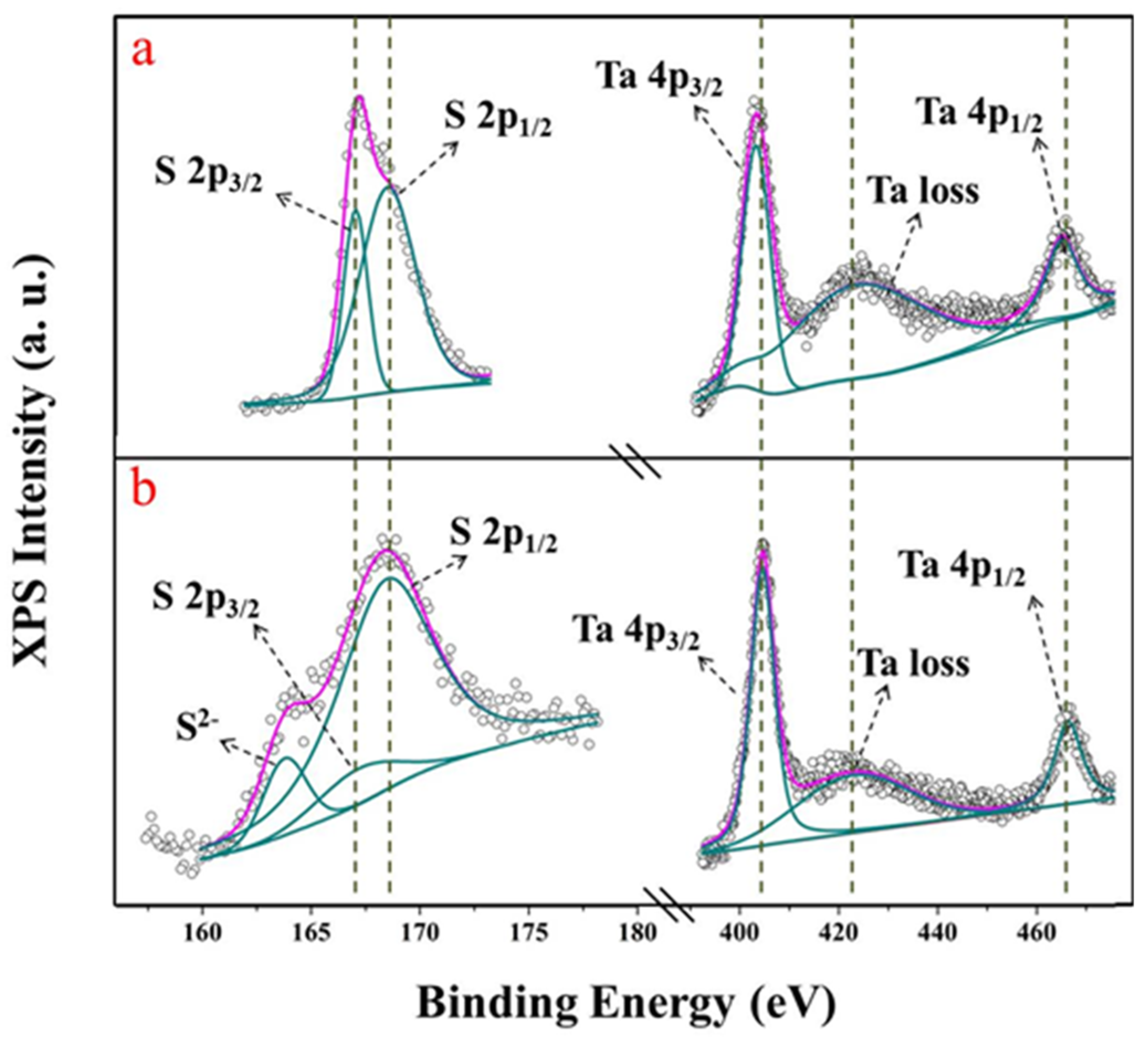 Nanomaterials 12 02075 g006