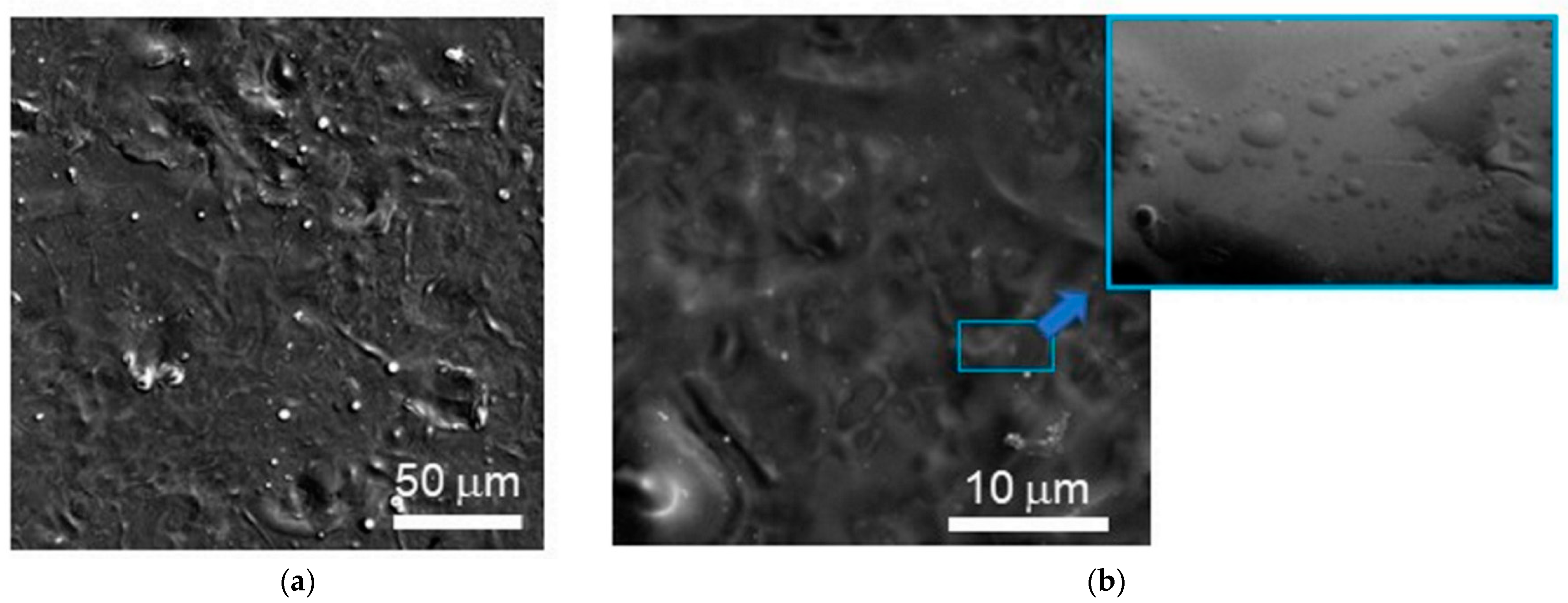 Nanomaterials 12 02080 g001