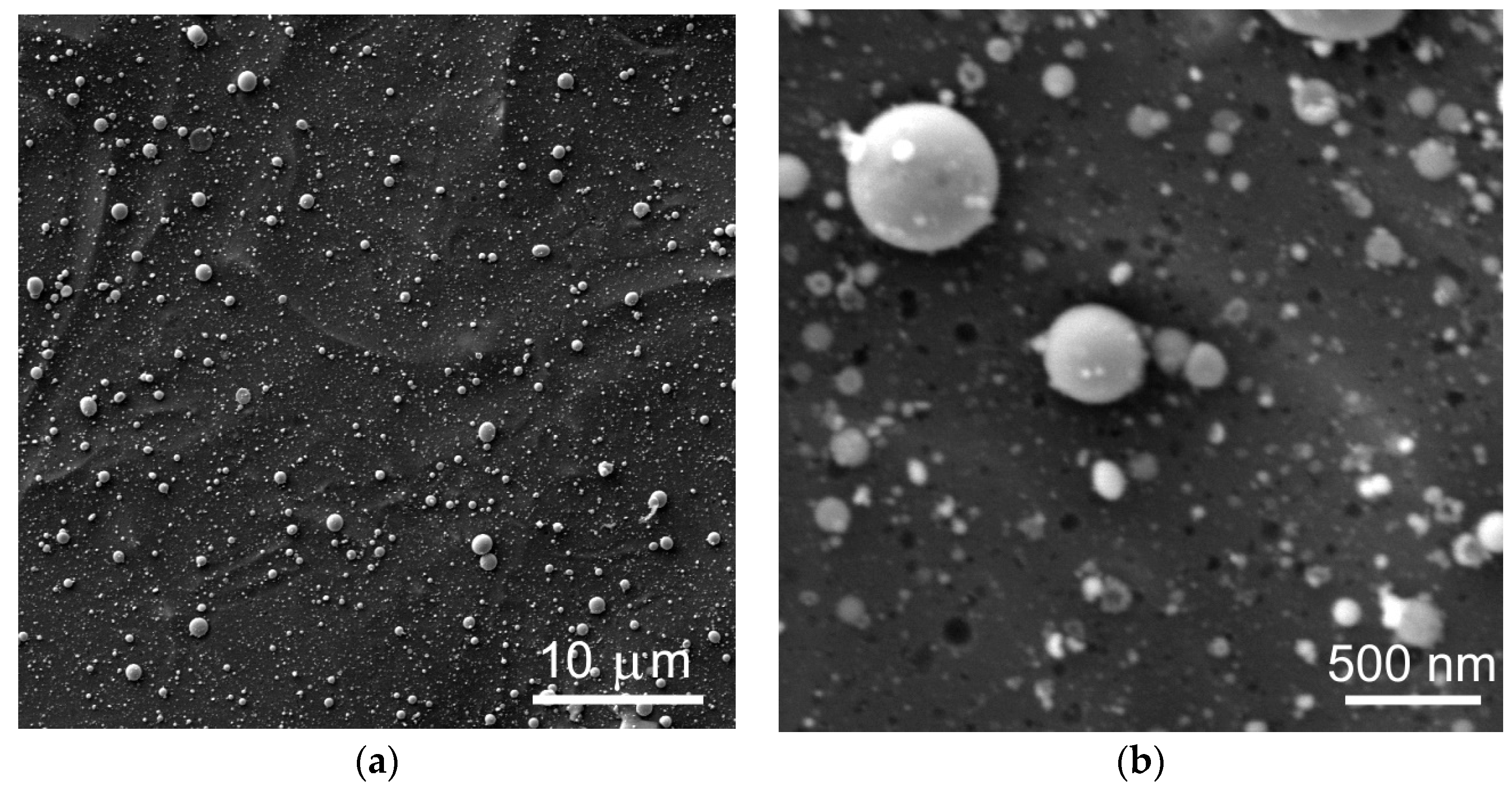 Nanomaterials 12 02080 g008