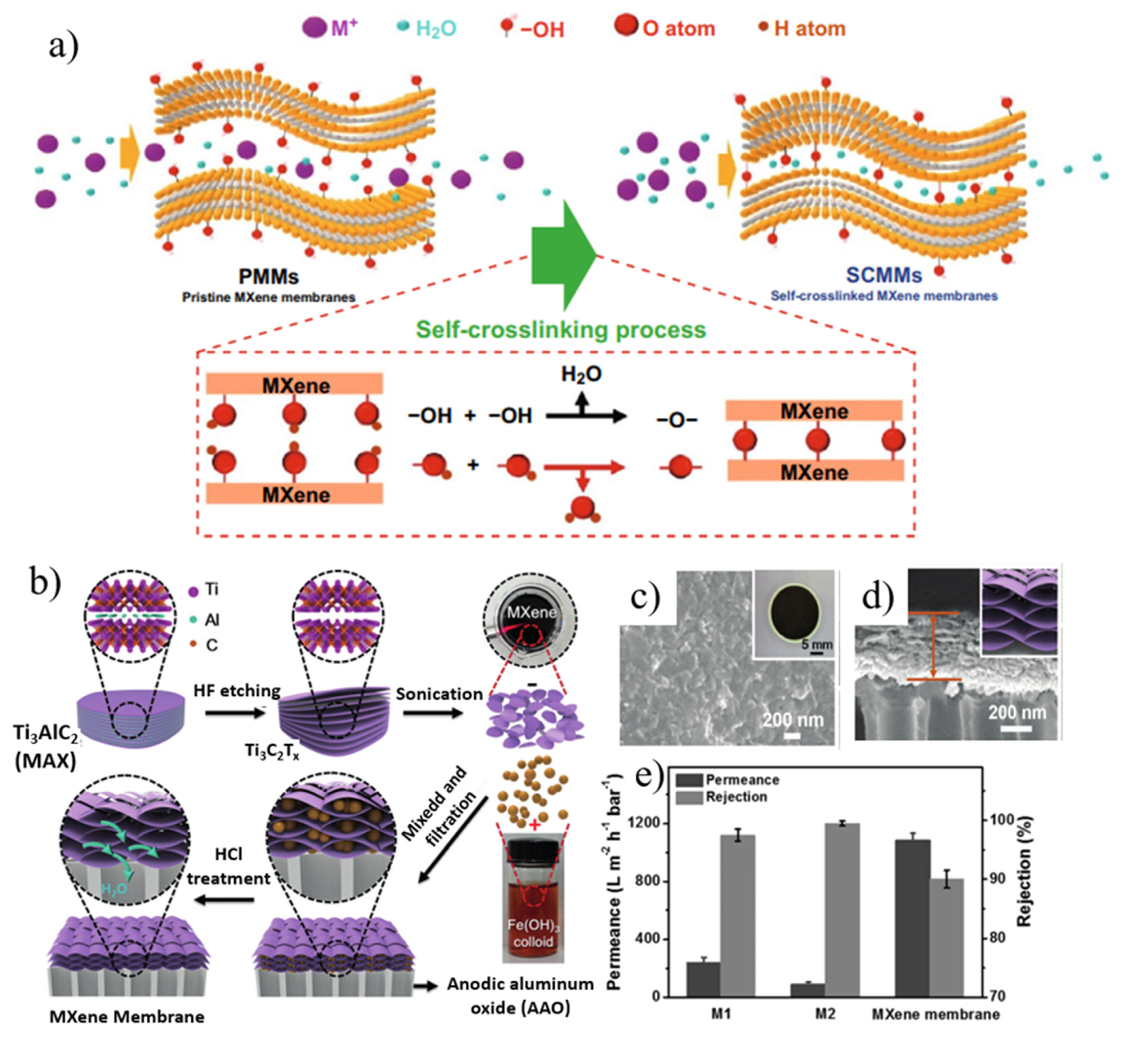 Nanomaterials 12 02103 g008