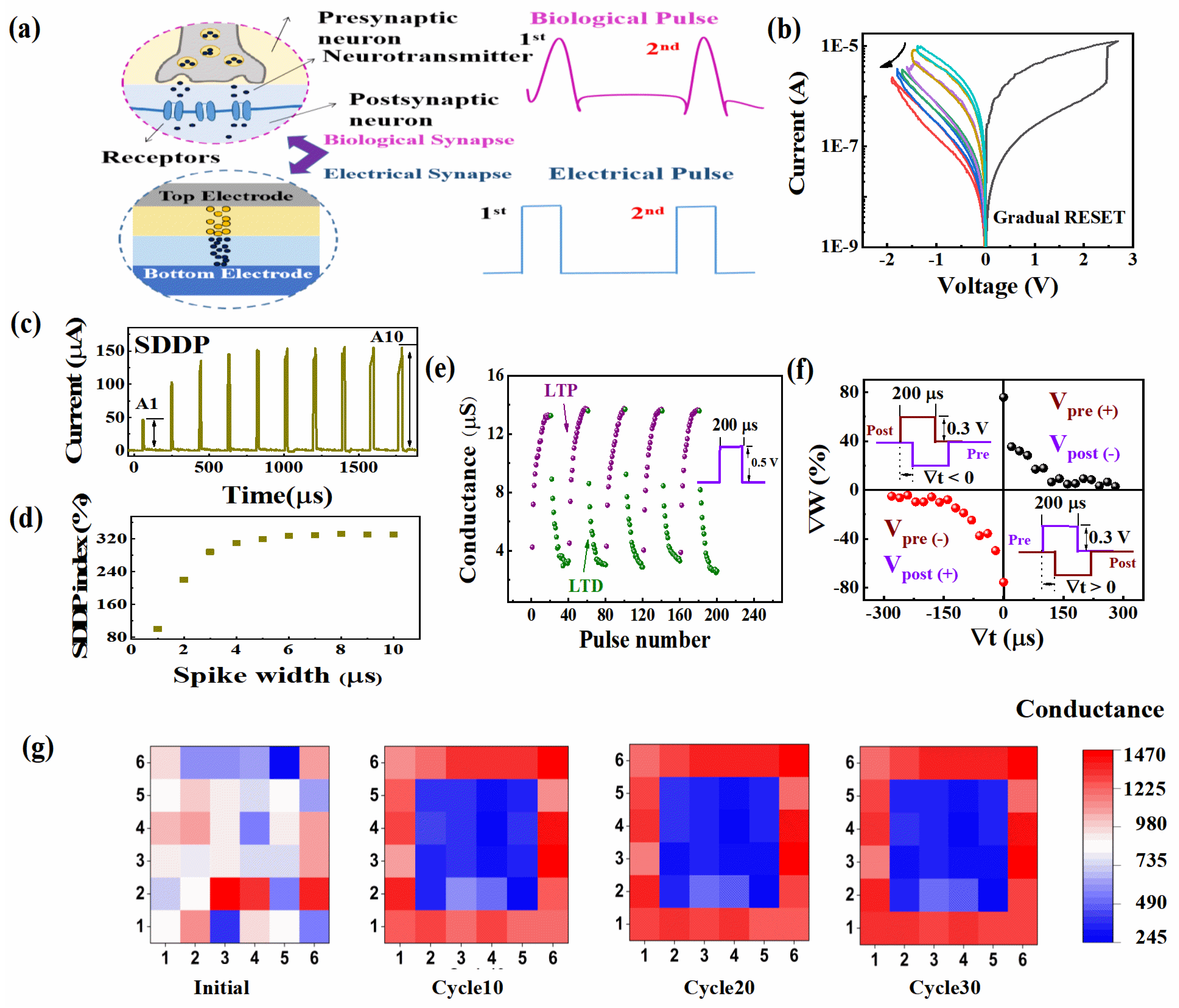 Nanomaterials | Free Full-Text | Artificial Synapse Consisted of  TiSbTe/SiCx:H Memristor with Ultra-high Uniformity for Neuromorphic  Computing | HTML