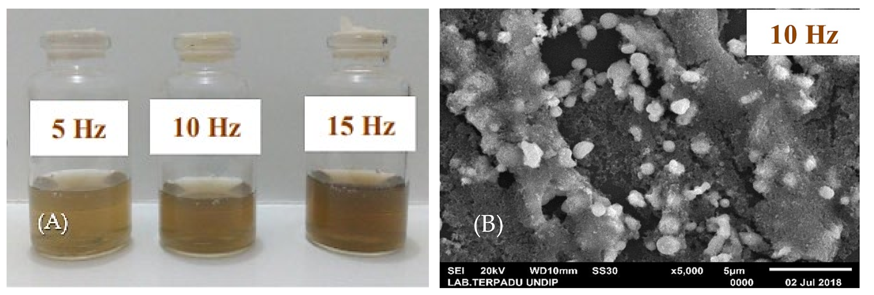 Nanomaterials 12 02144 g010