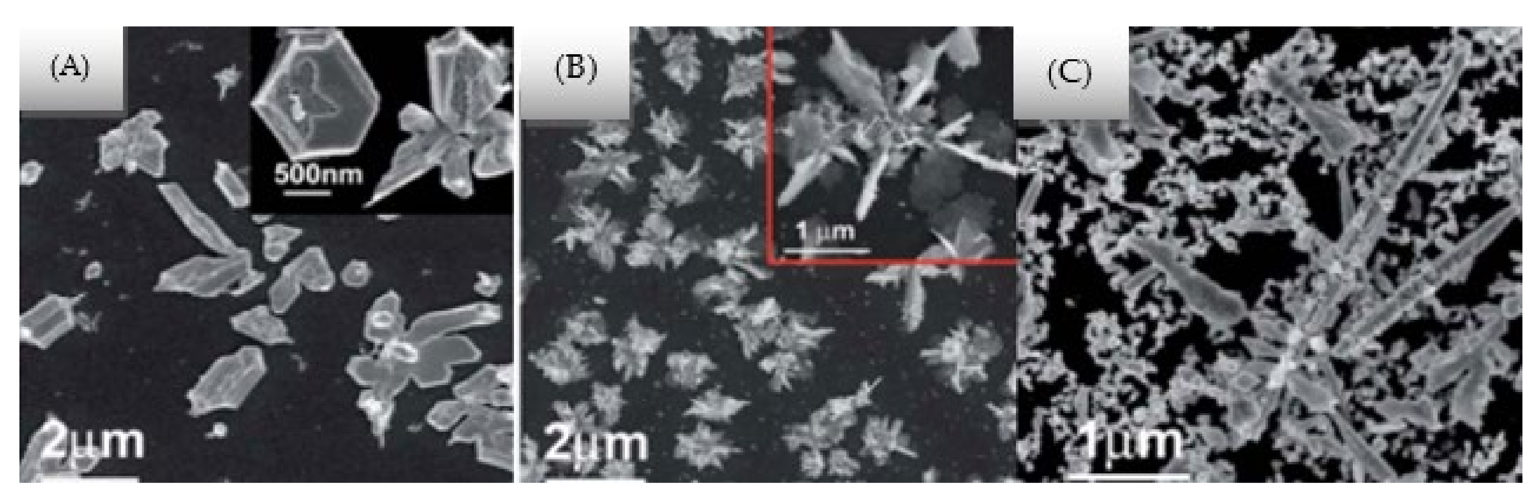 Nanomaterials 12 02144 g012