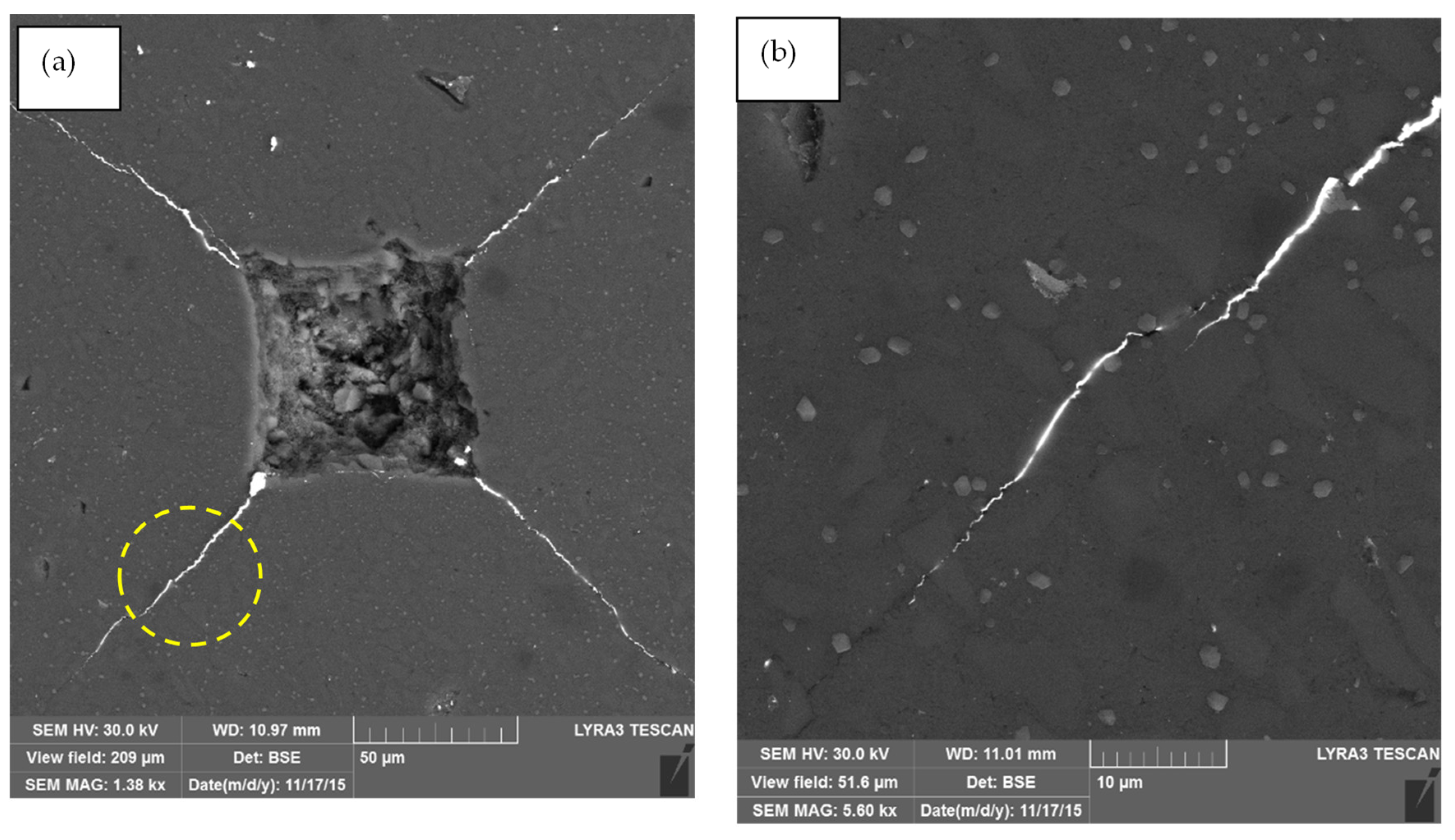 Nanomaterials 12 02176 g011