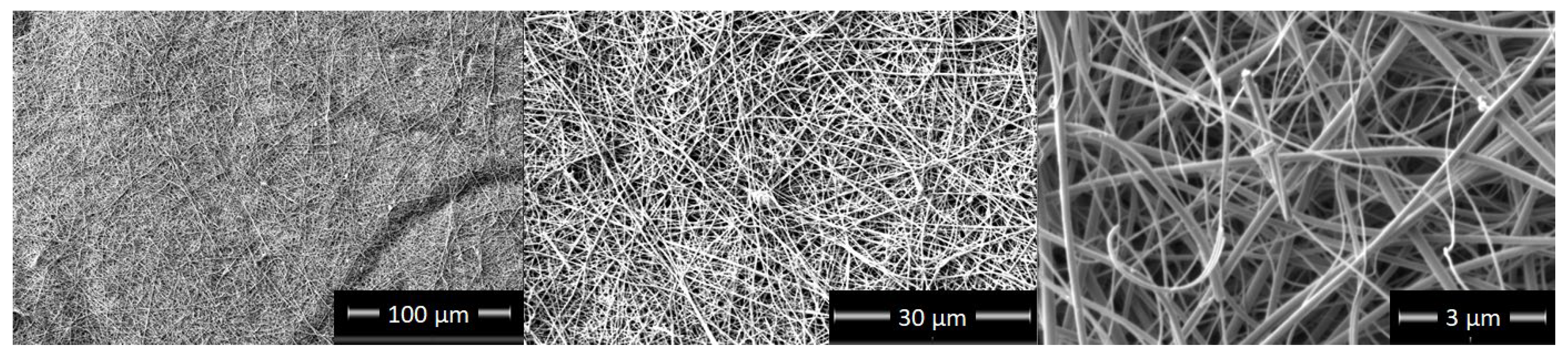 Nanomaterials 12 02177 g001