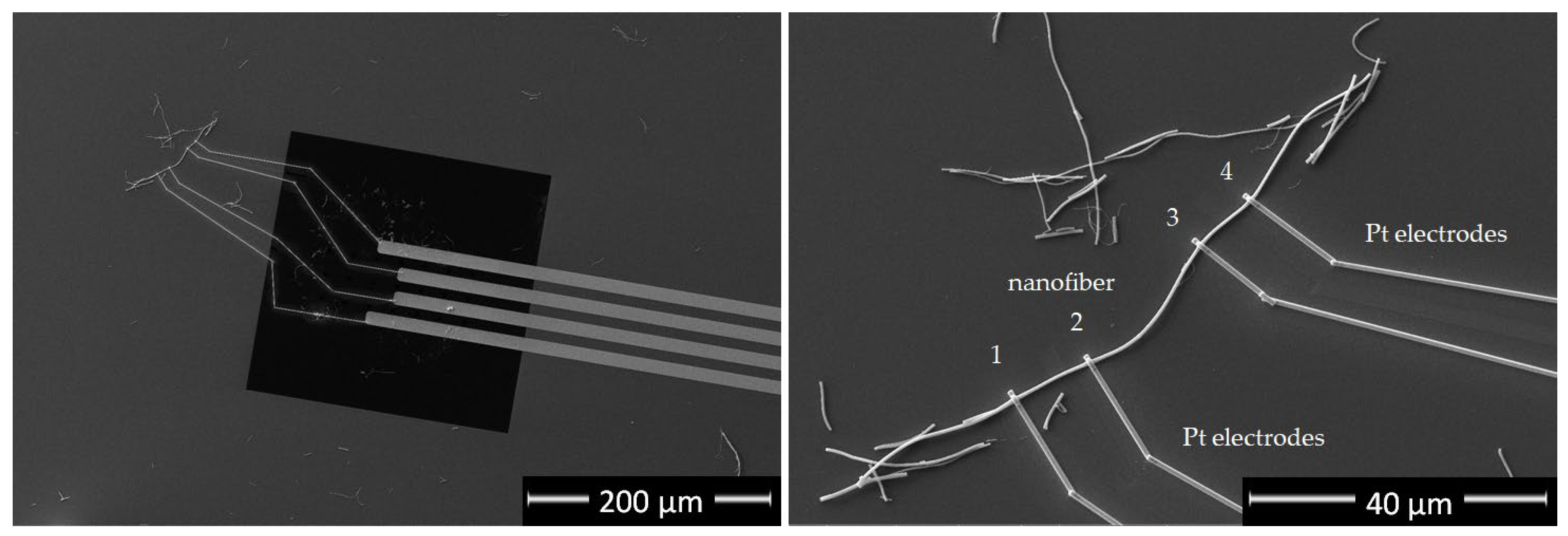Nanomaterials 12 02177 g008