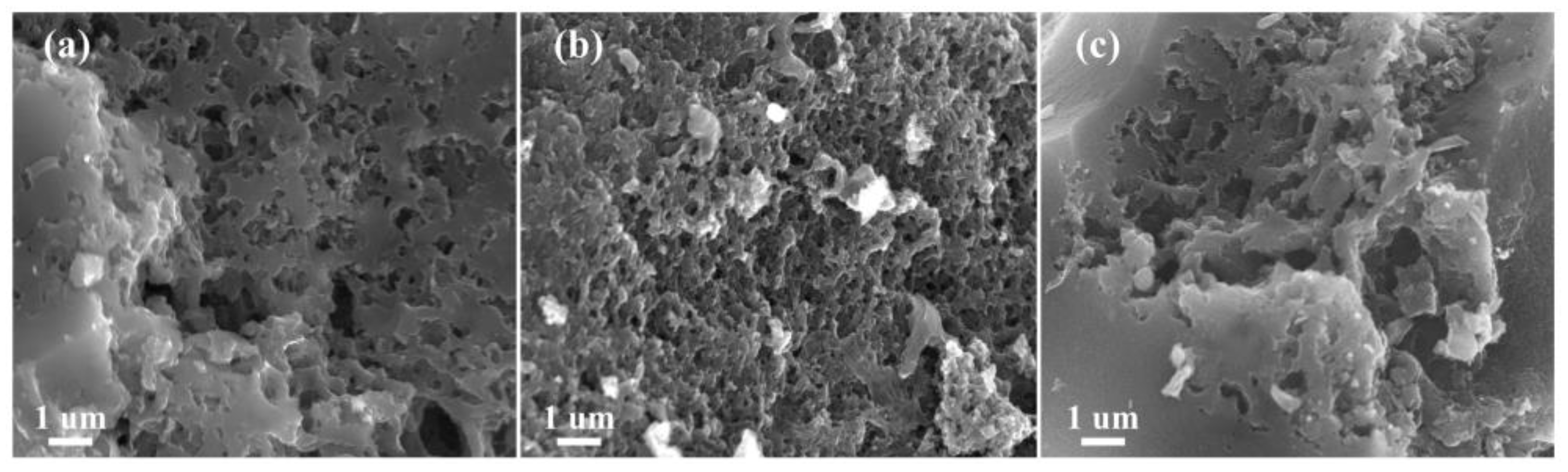 Nanomaterials 12 02186 g004