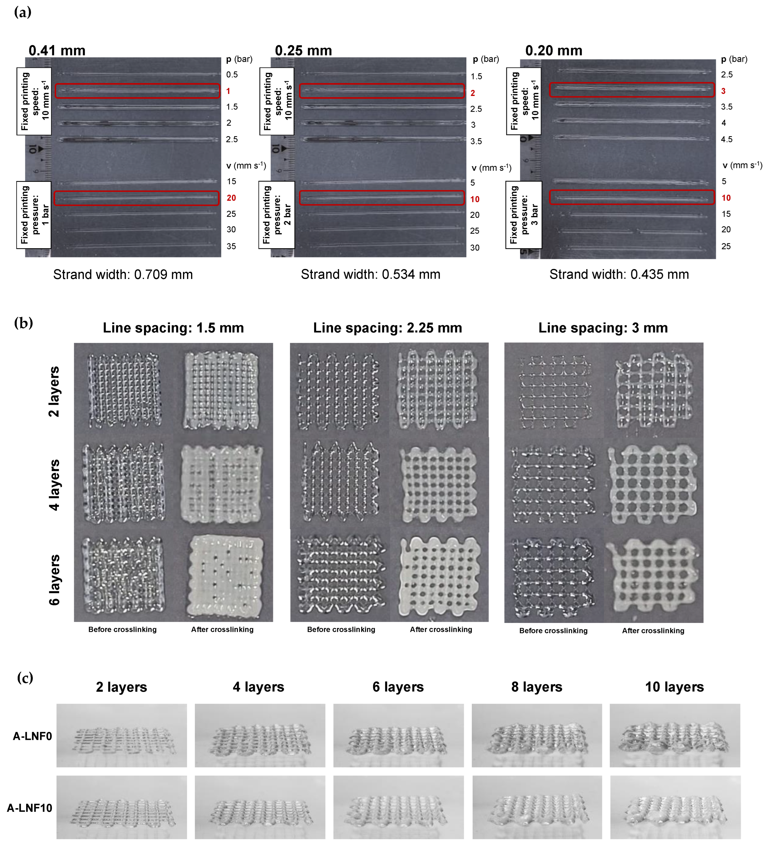 Nanomaterials 12 02190 g007