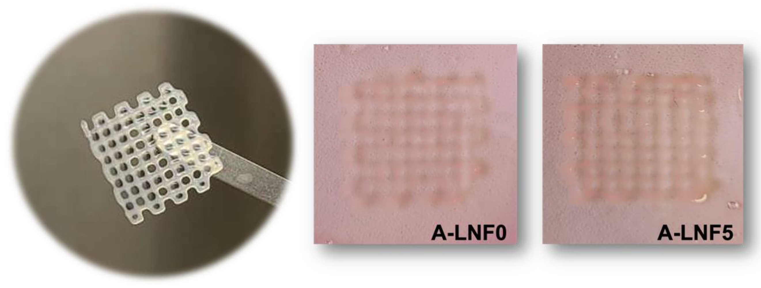 Nanomaterials 12 02190 g009