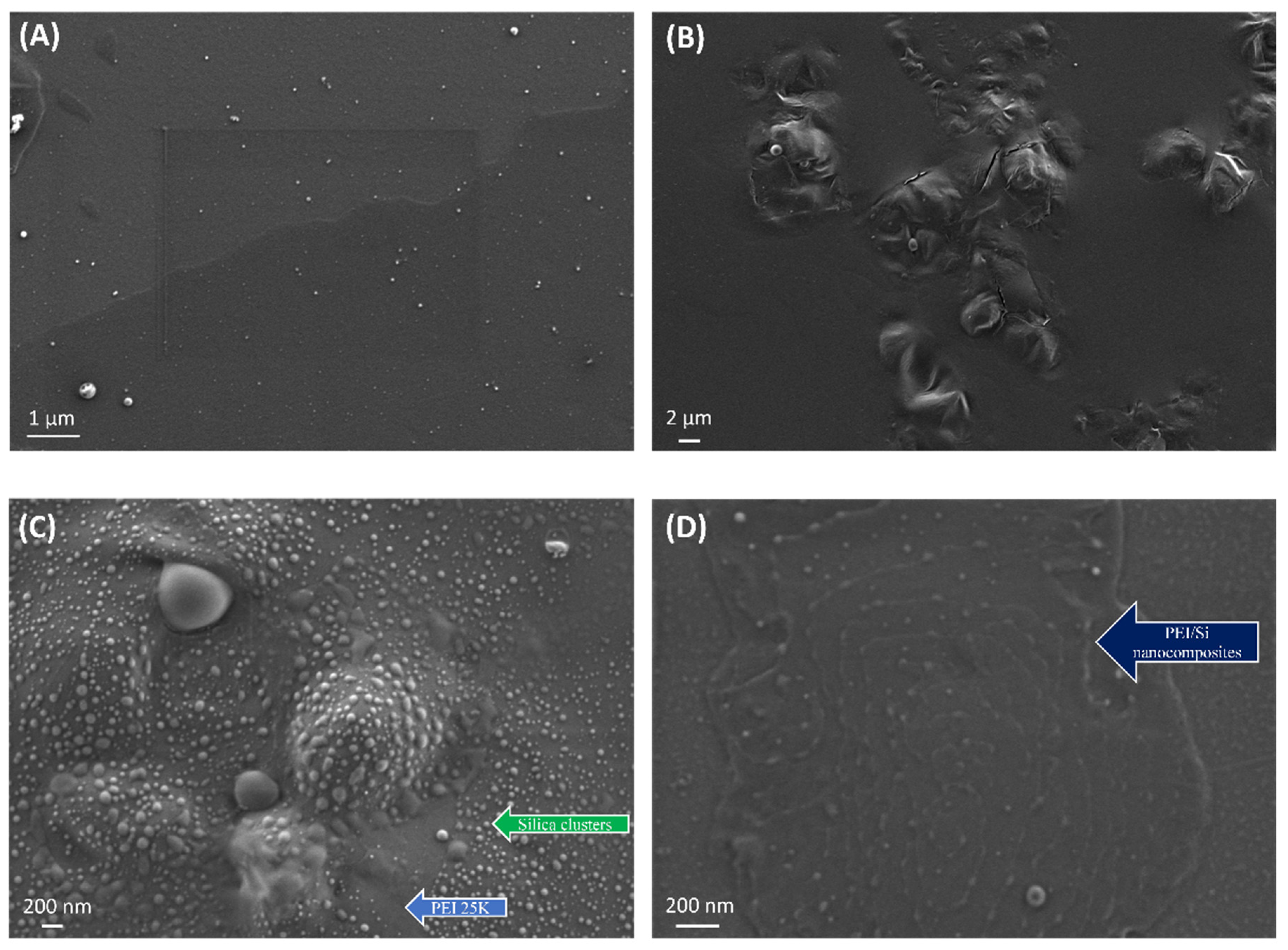 Nanomaterials 12 02237 g010