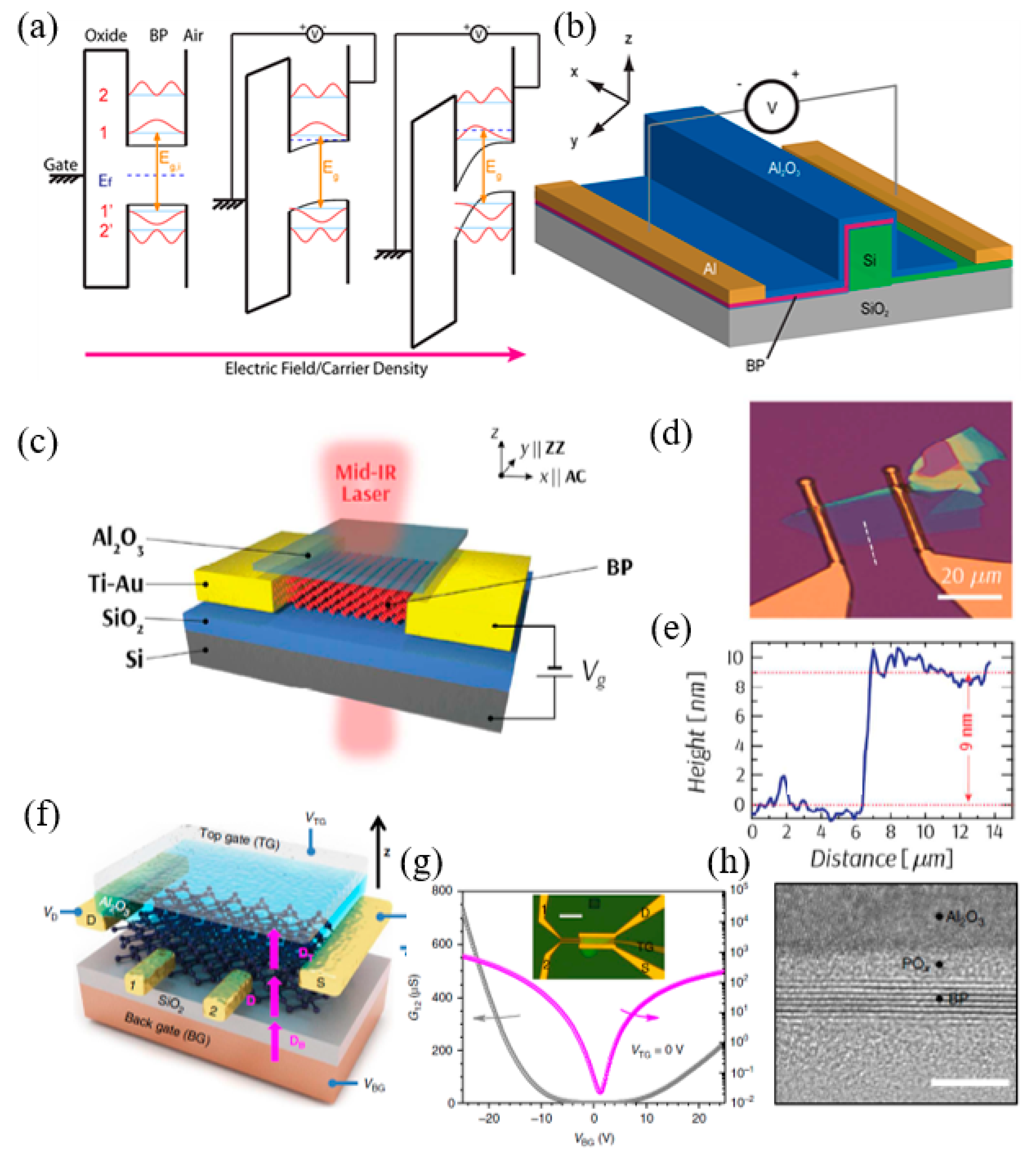 Nanomaterials 12 02260 g013