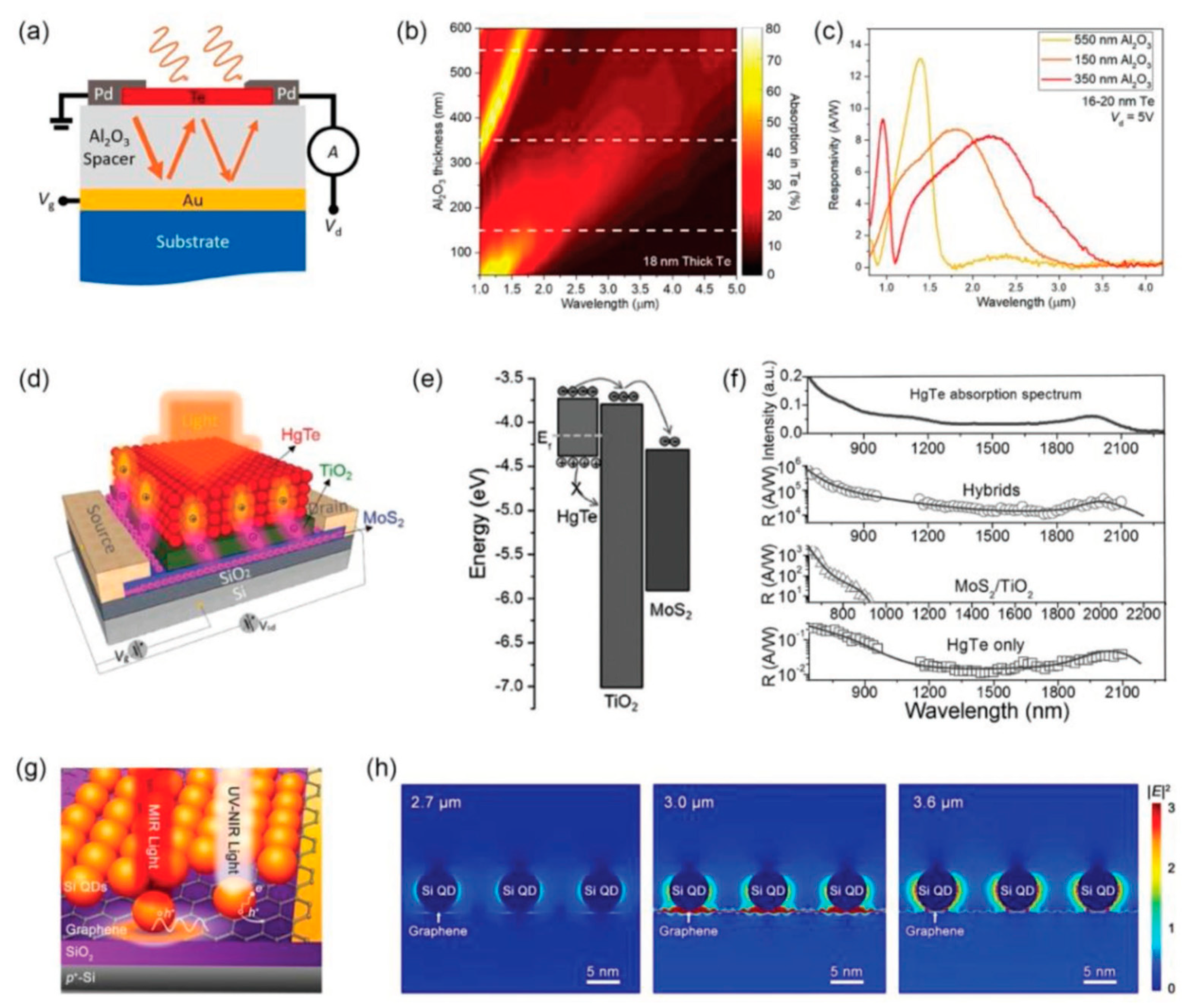 Nanomaterials 12 02260 g019