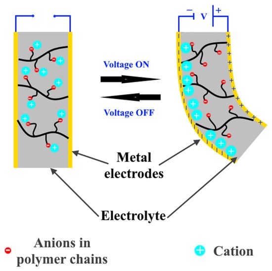 Nanomaterials | Free Full-Text | Electroactive Polymer-Based Composites ...