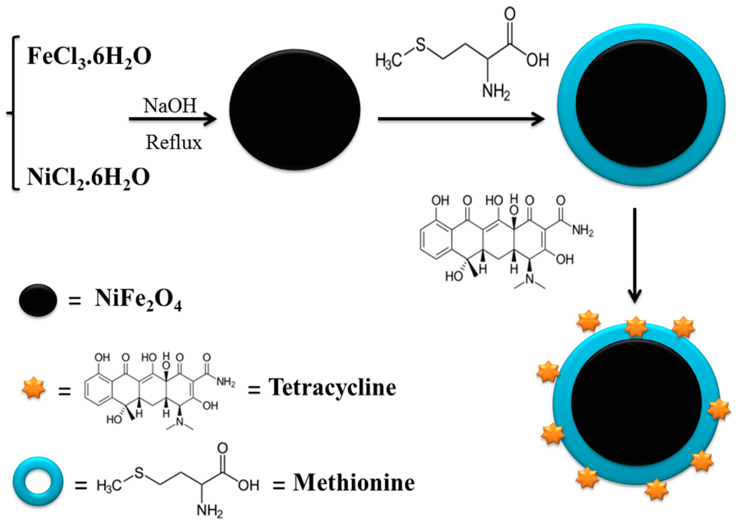 Nanomaterials 12 02286 g001