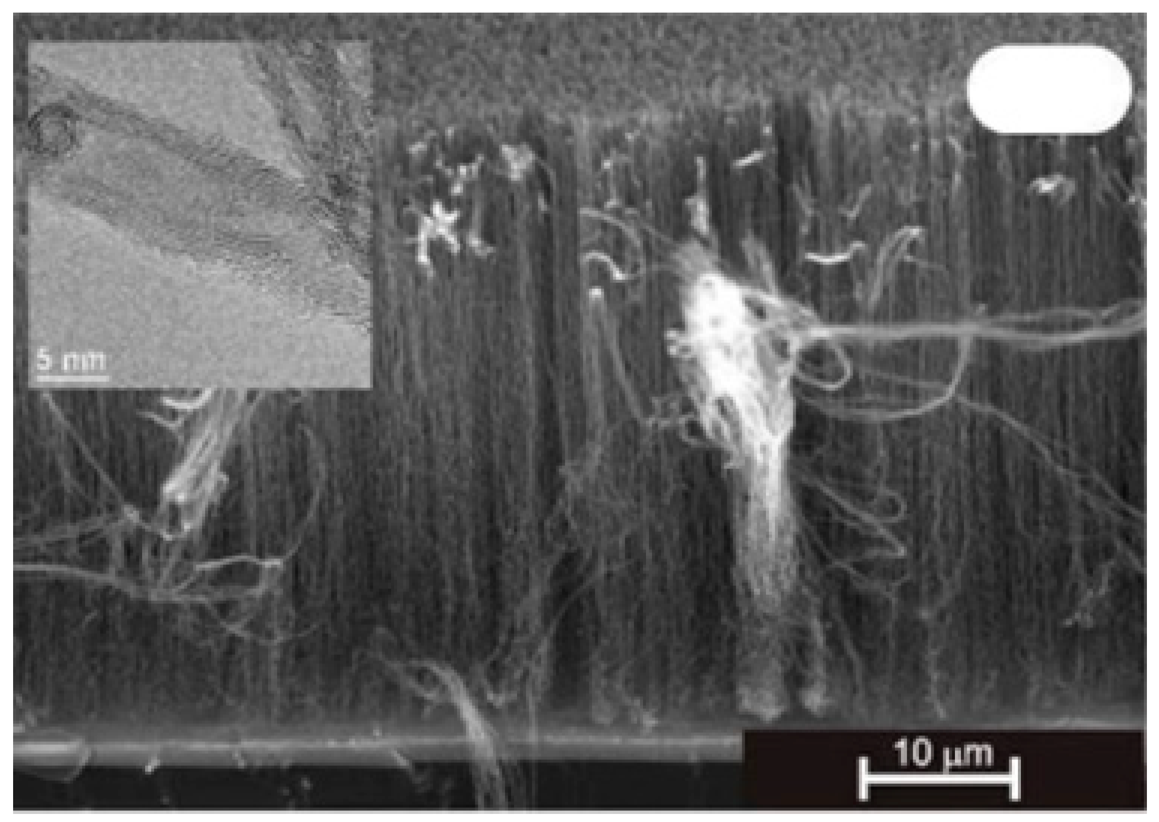 Nanomaterials 12 02300 g007