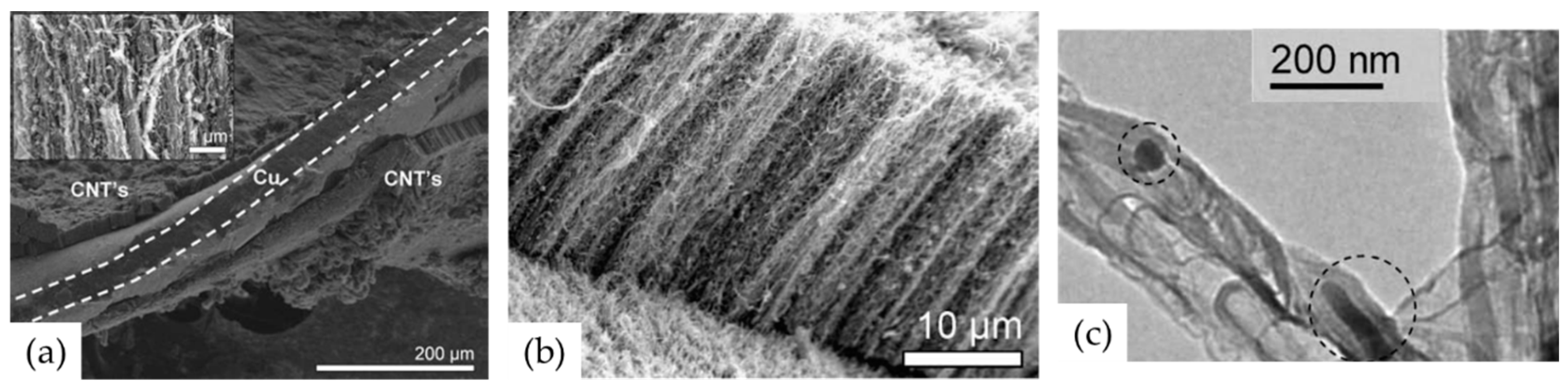 Nanomaterials 12 02300 g008