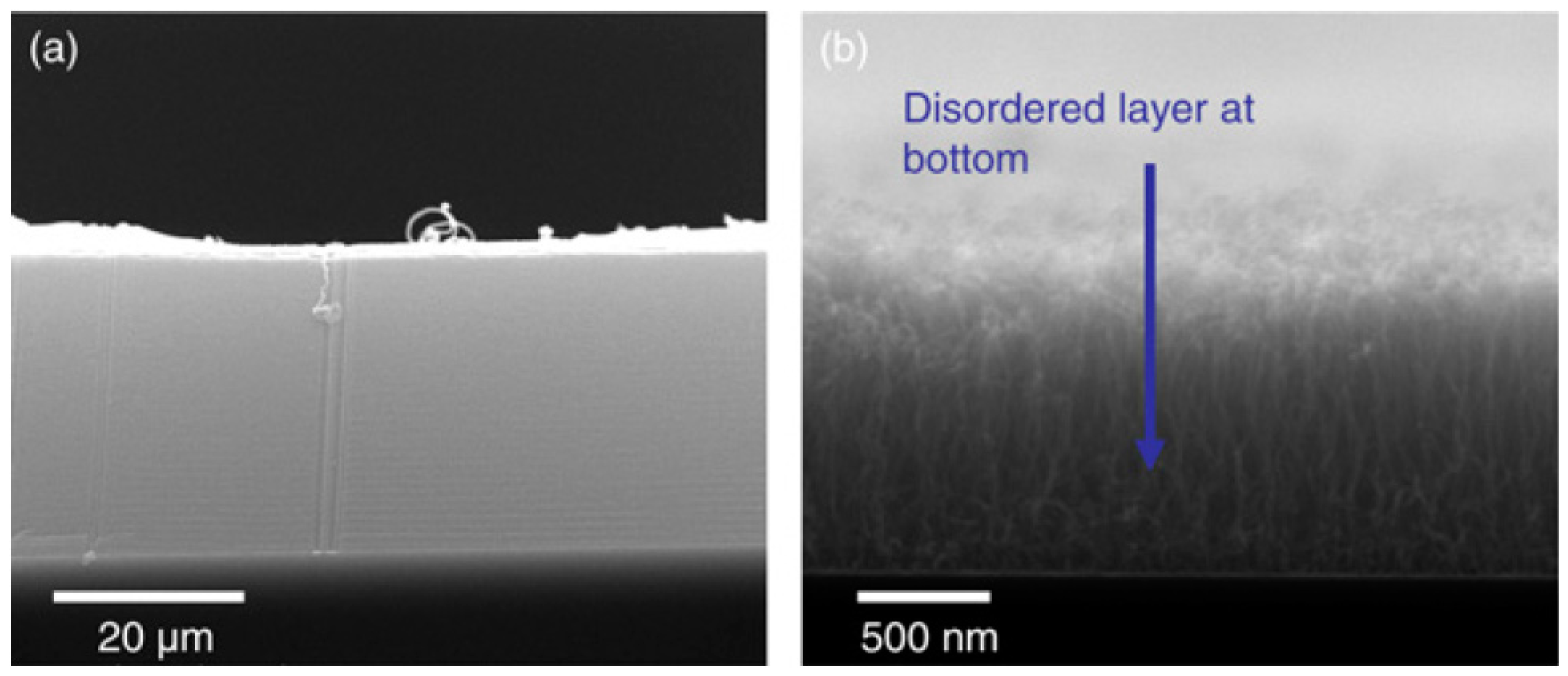 Nanomaterials 12 02300 g009