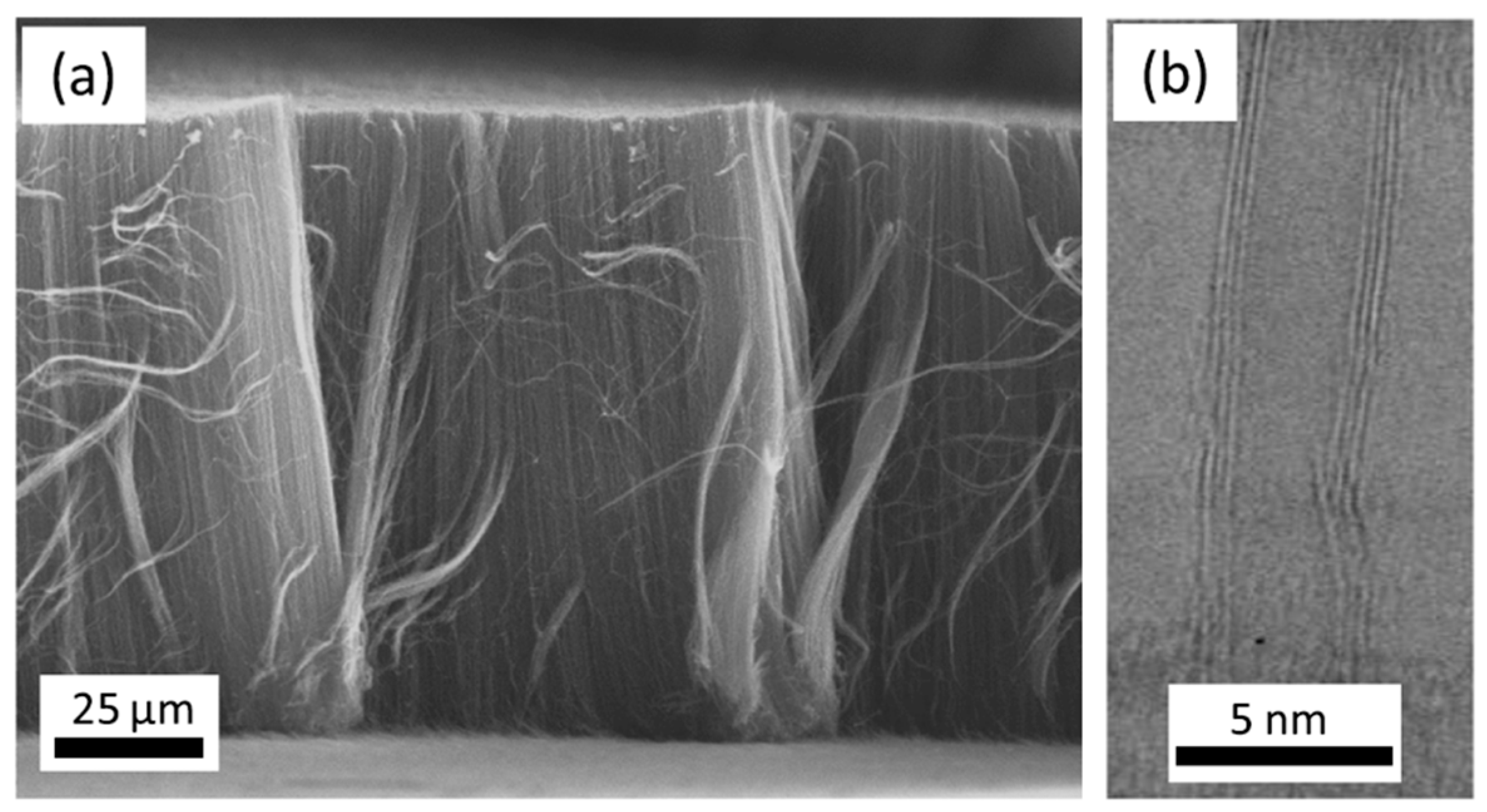 Nanomaterials 12 02300 g012
