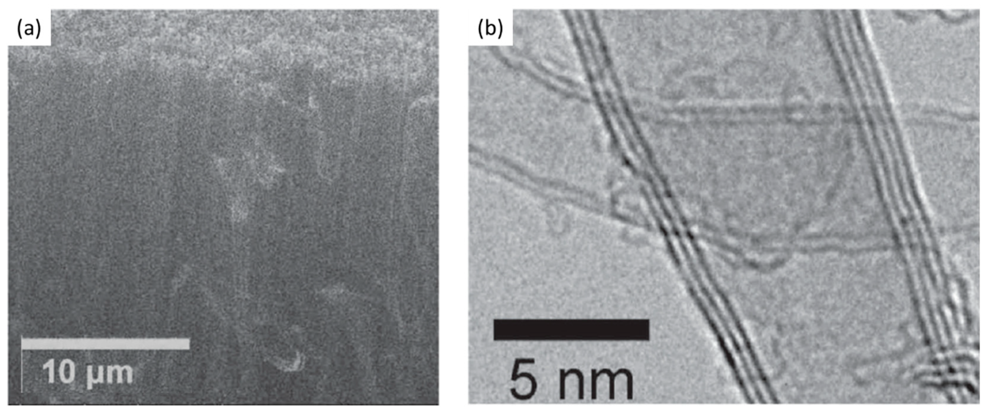 Nanomaterials 12 02300 g014