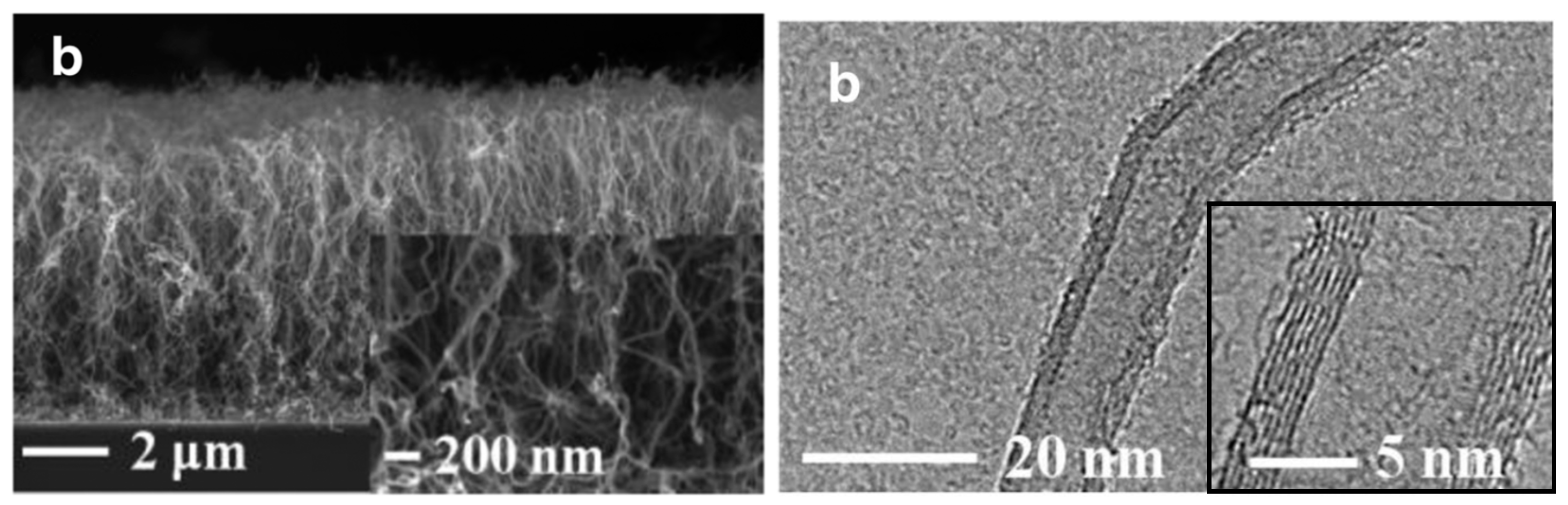Nanomaterials 12 02300 g015