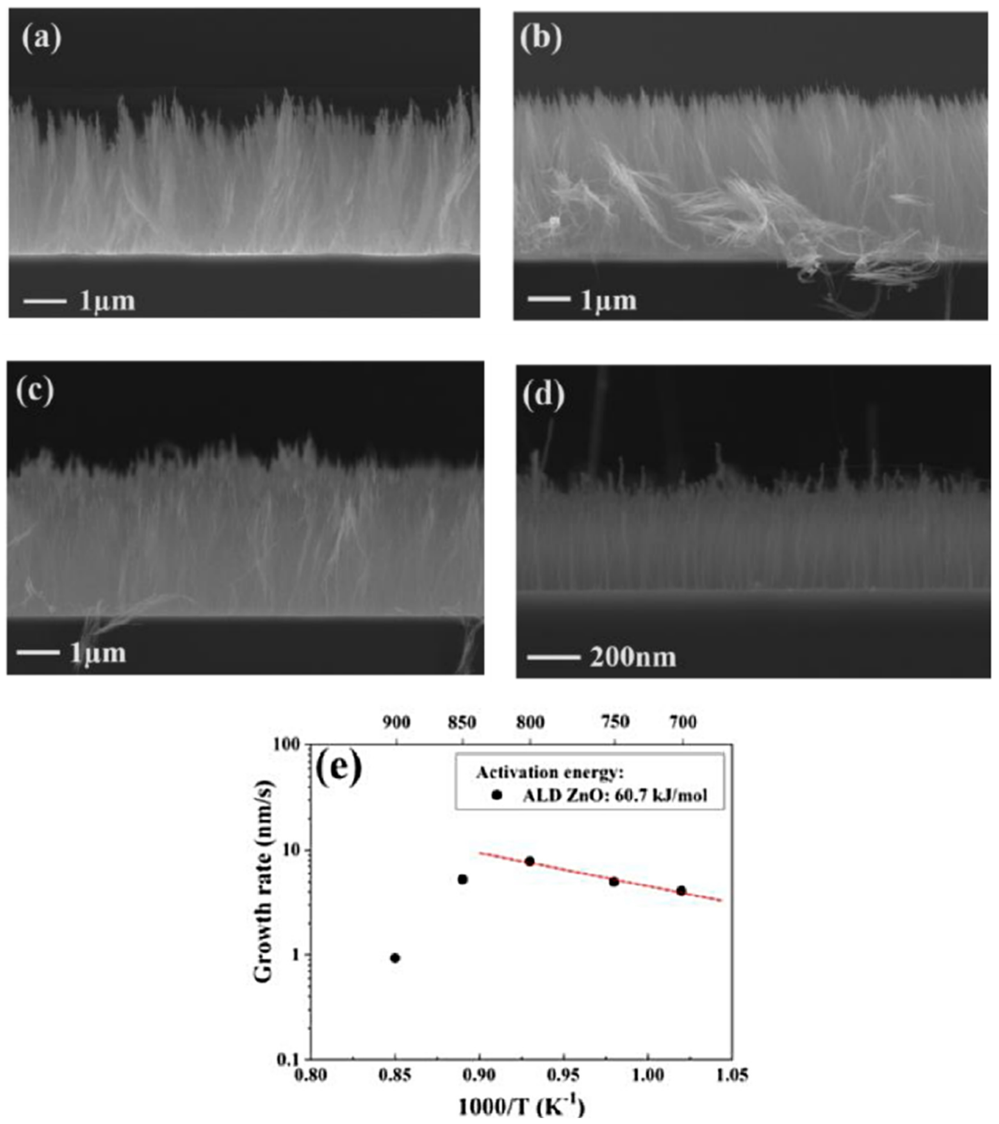 Nanomaterials 12 02300 g017
