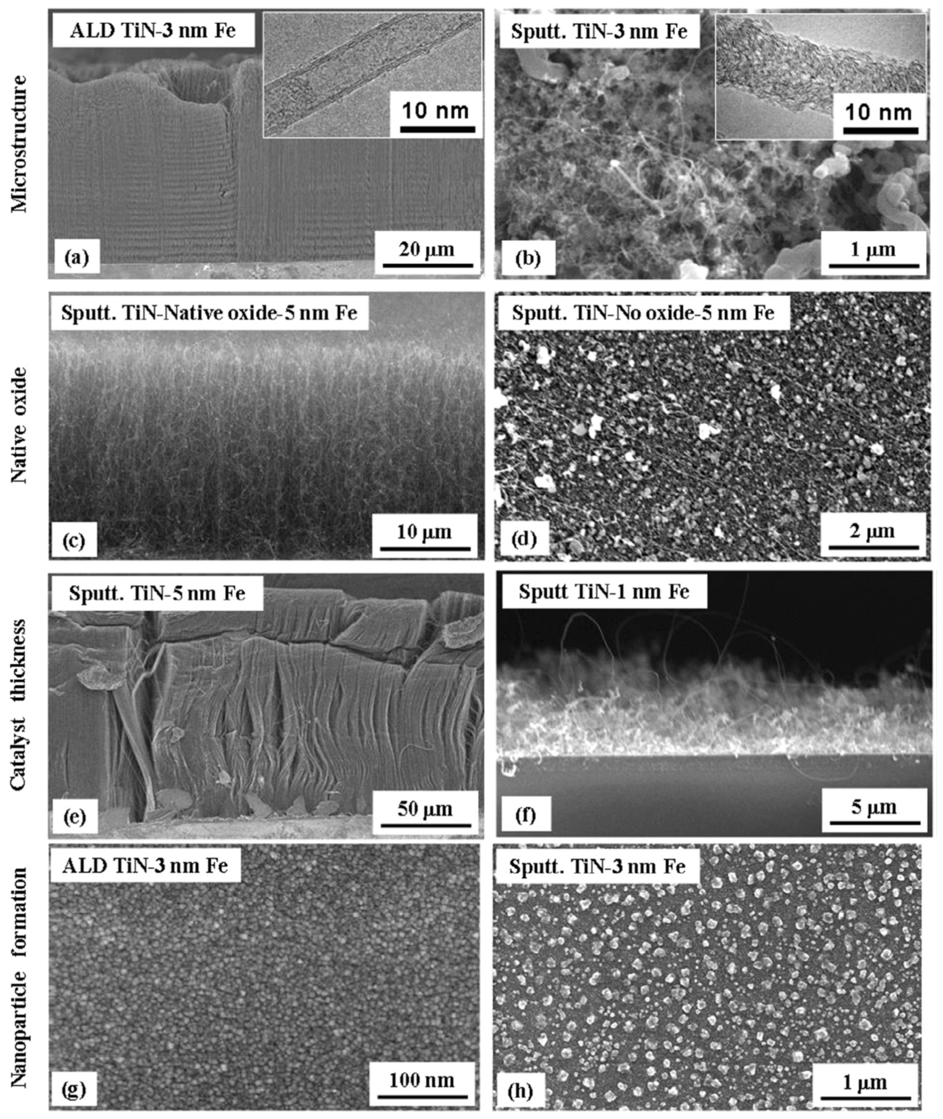 Nanomaterials 12 02300 g018