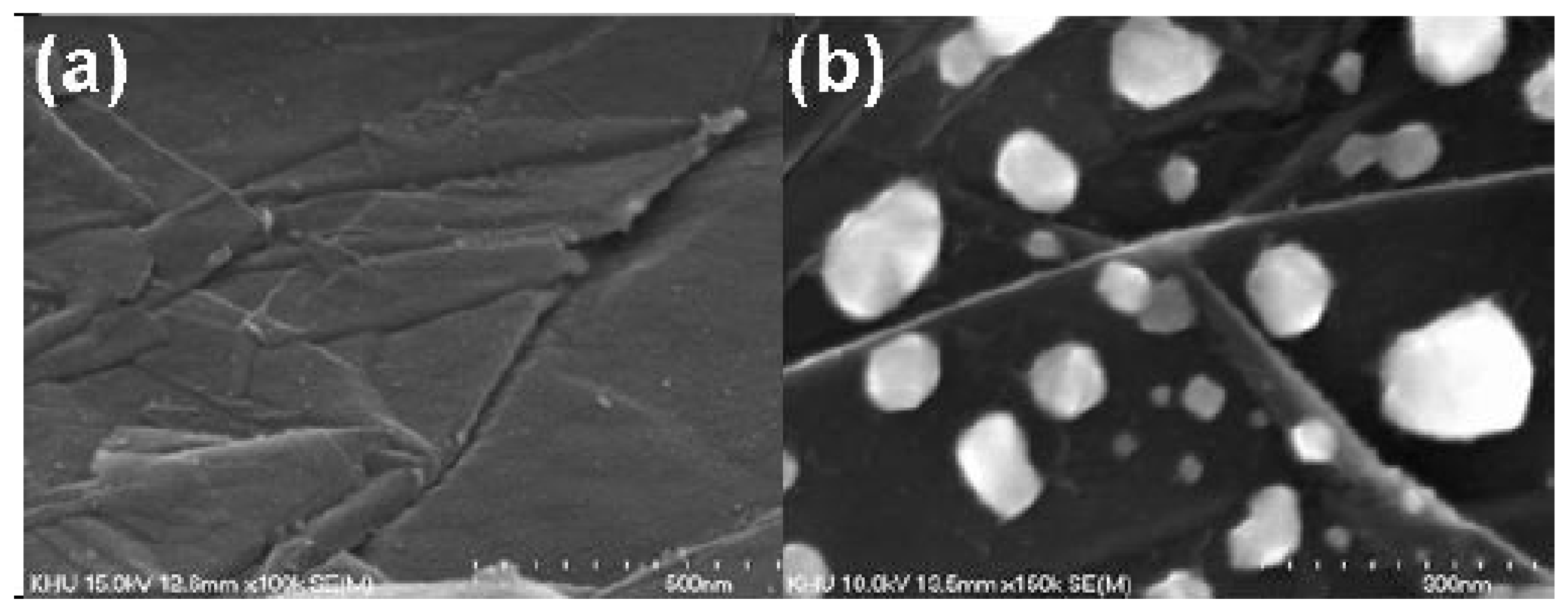 Nanomaterials 12 02300 g020