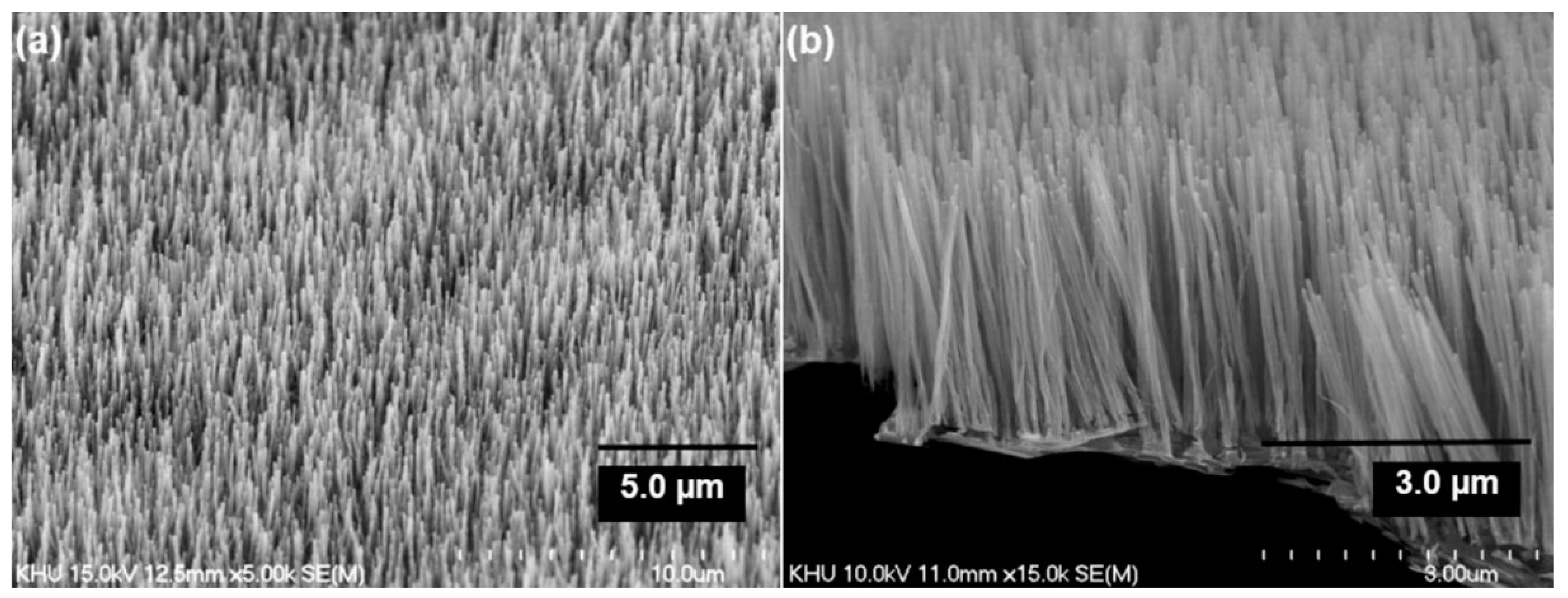 Nanomaterials 12 02300 g021