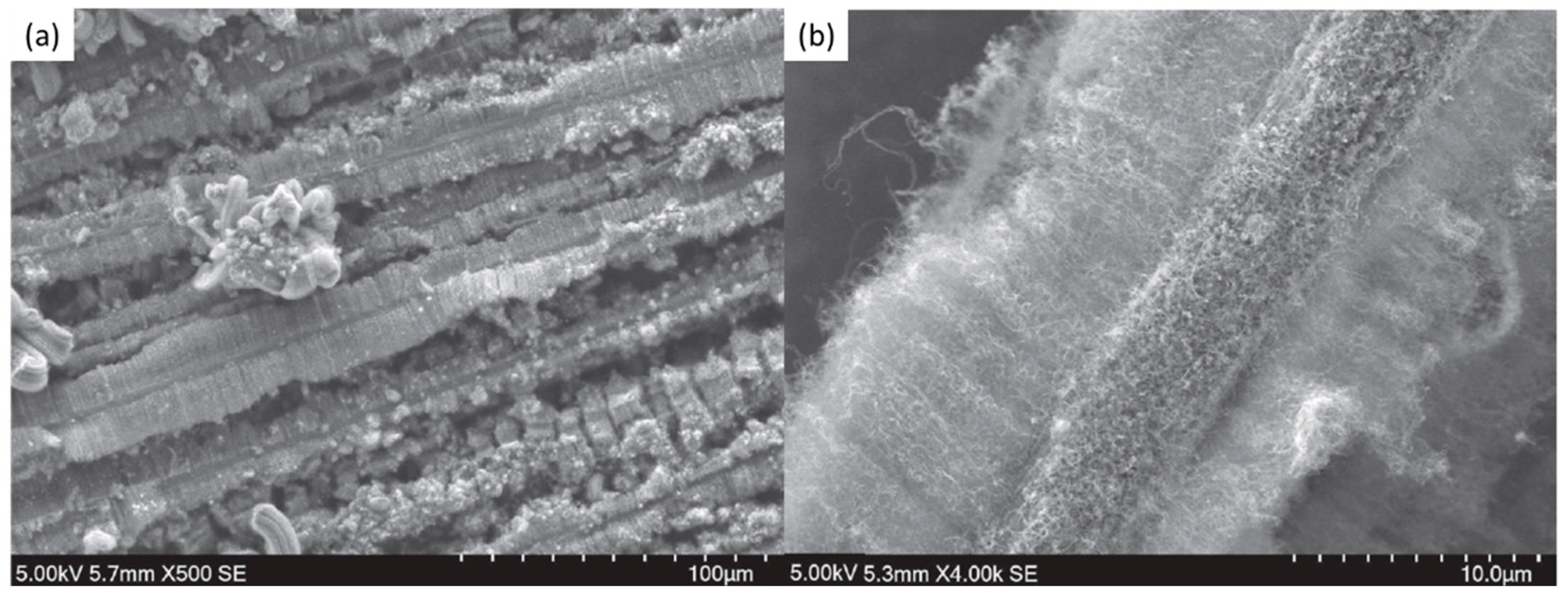 Nanomaterials 12 02300 g026