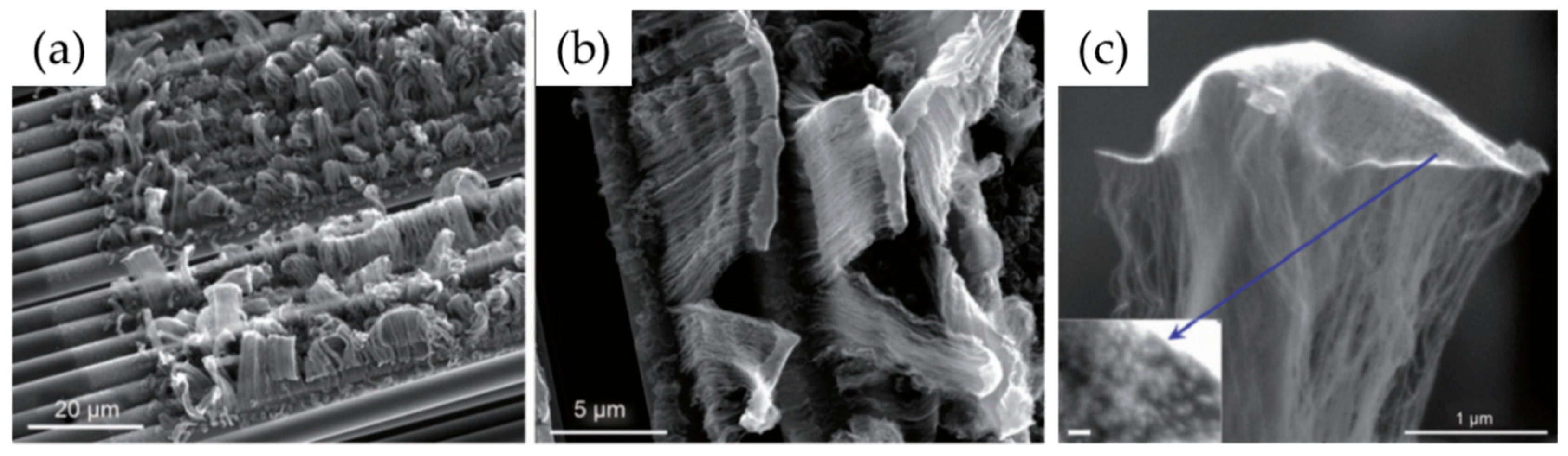 Nanomaterials 12 02300 g029