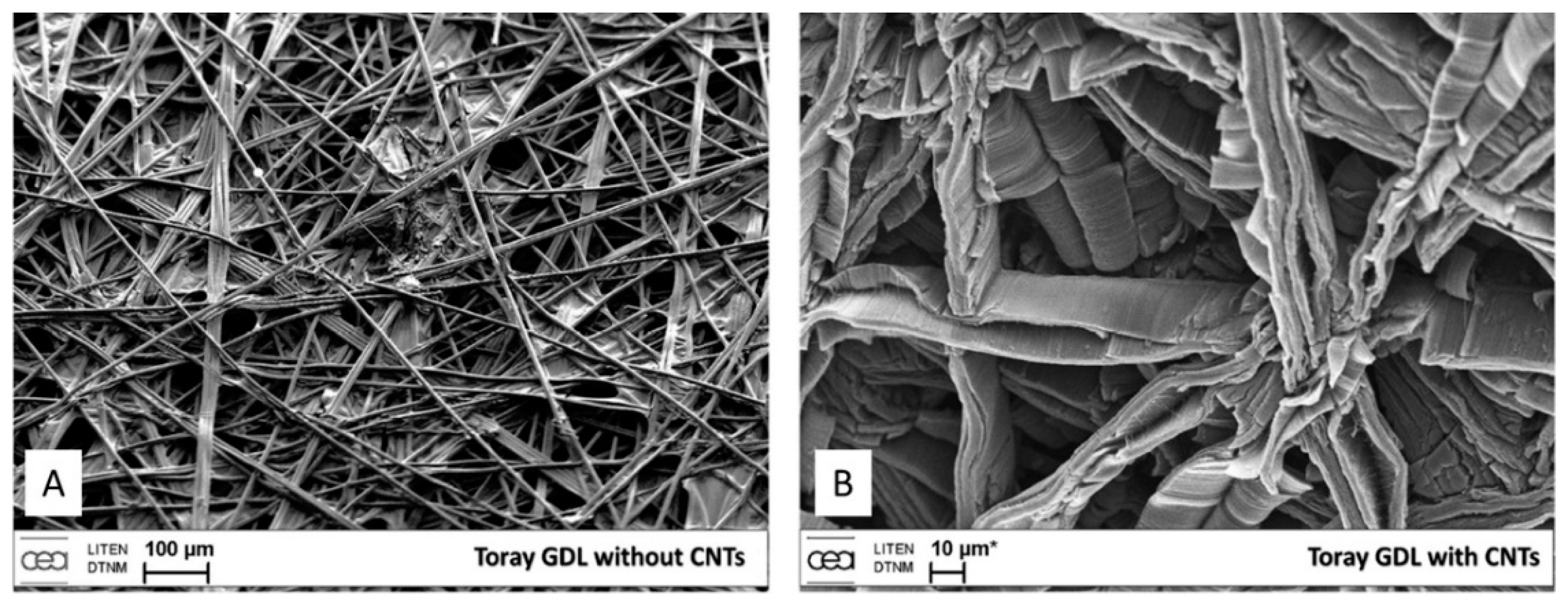 Nanomaterials 12 02300 g032