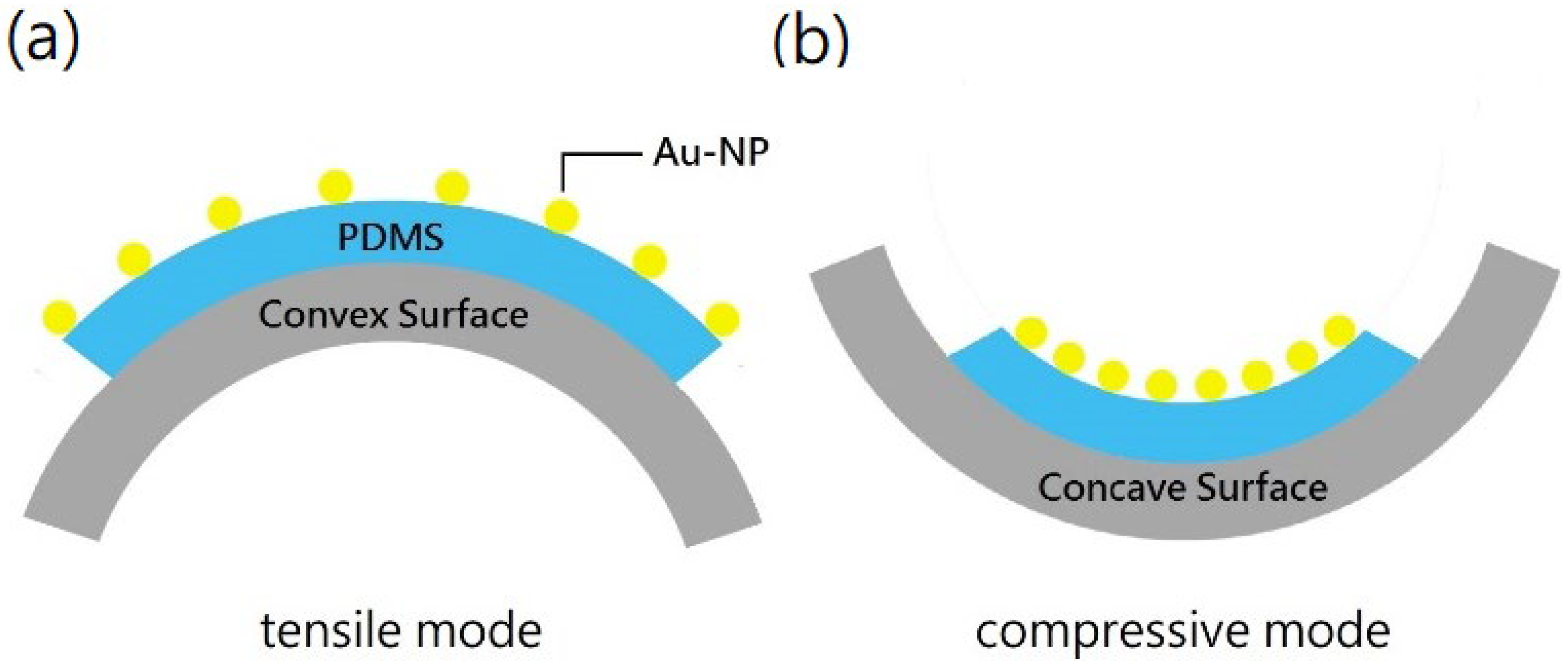 Nanomaterials 12 02312 g003