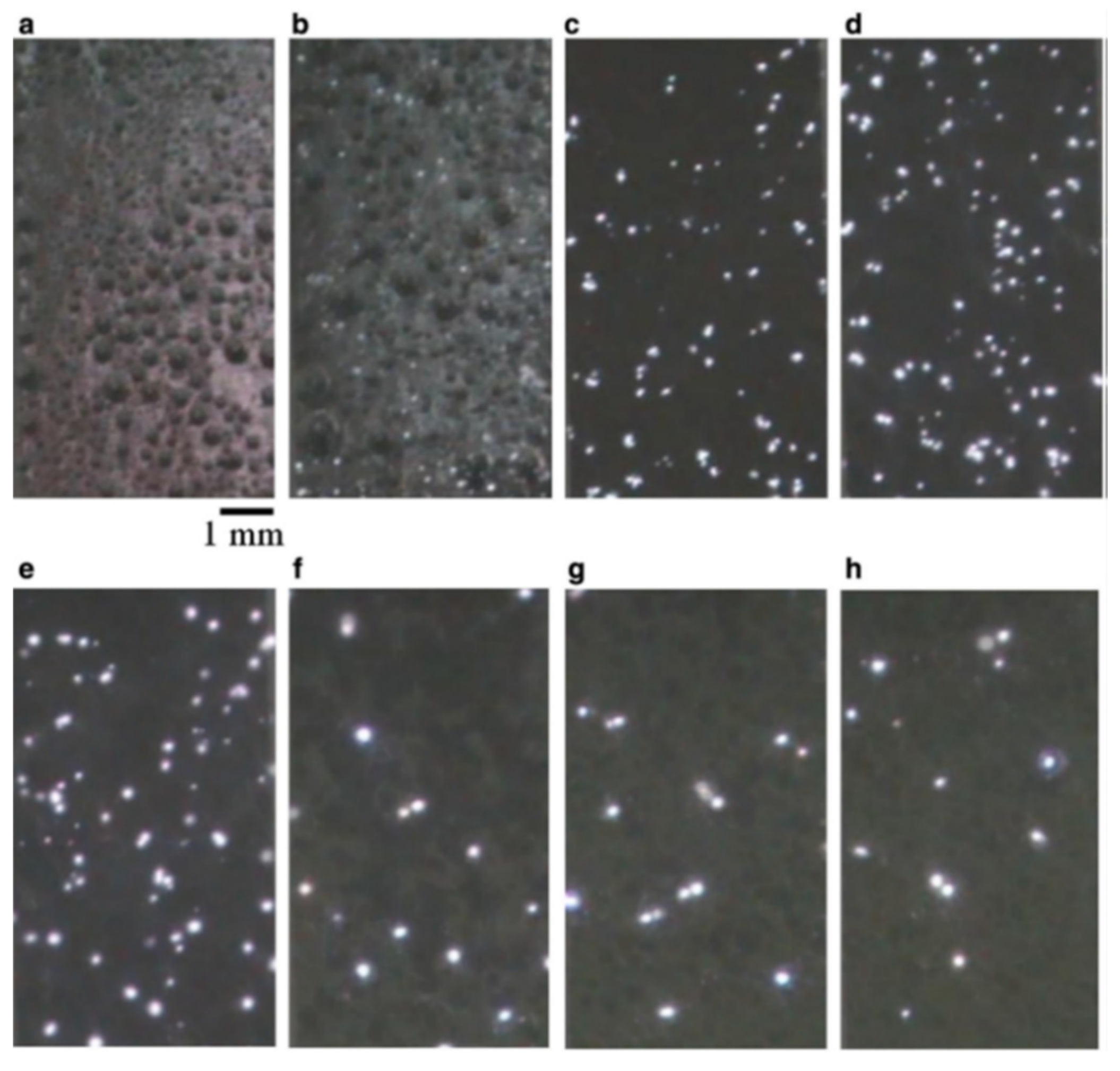 Nanomaterials 12 02319 g006