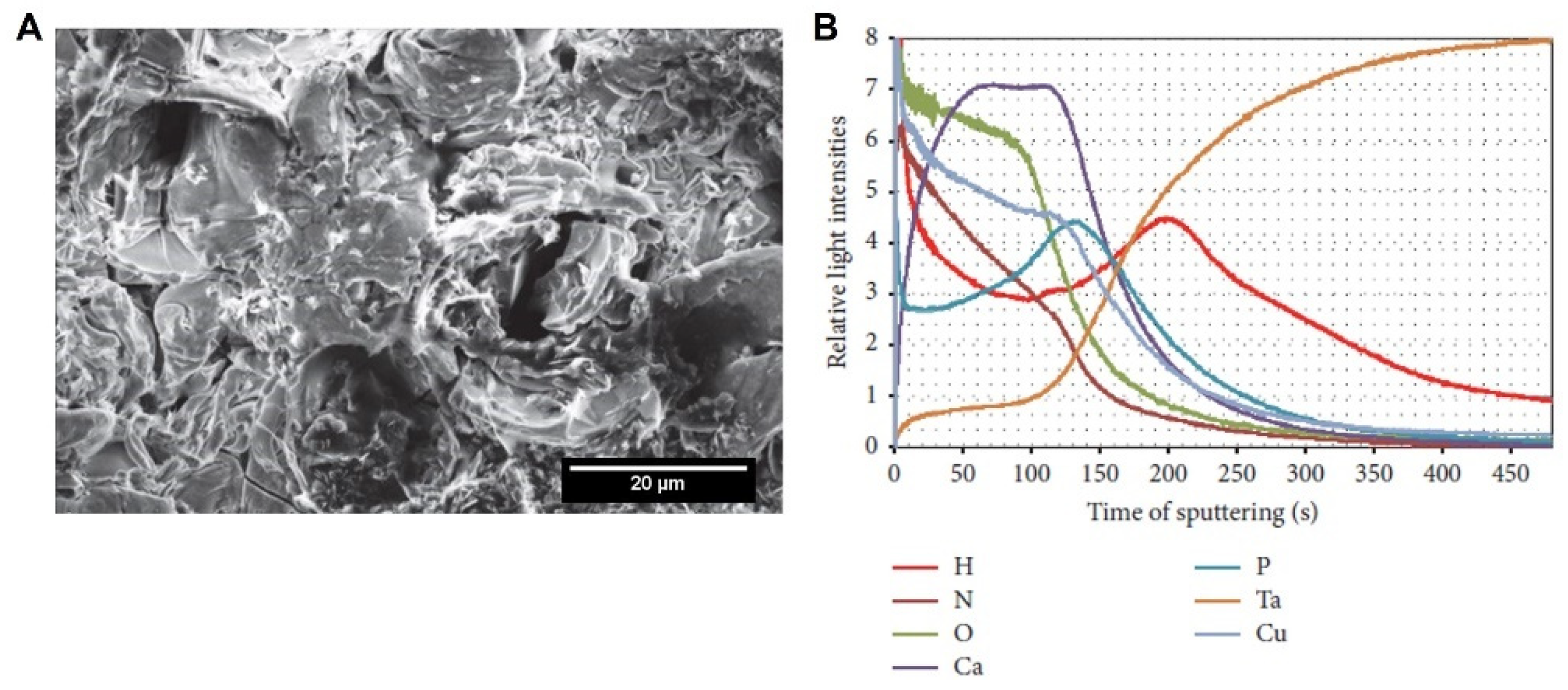 Nanomaterials 12 02319 g009