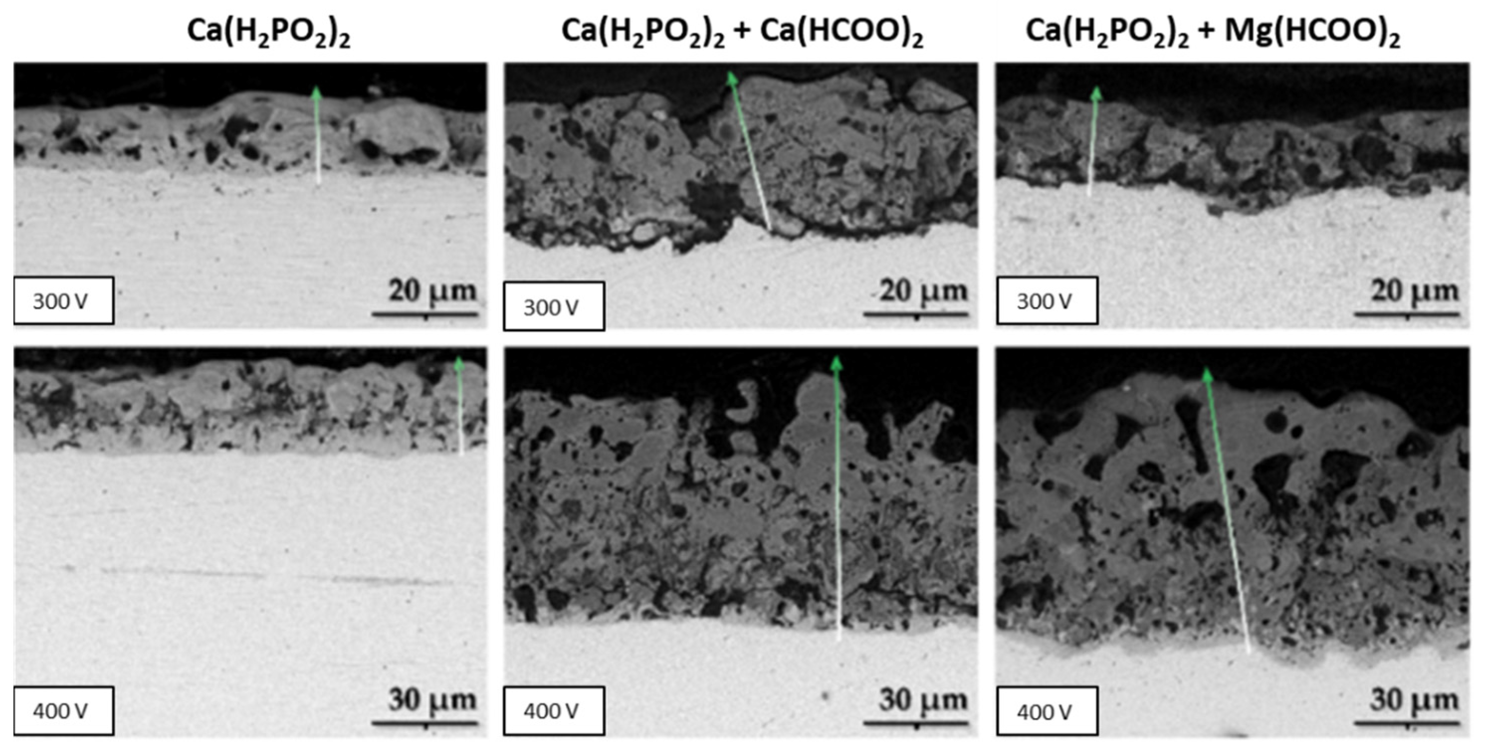 Nanomaterials 12 02319 g012