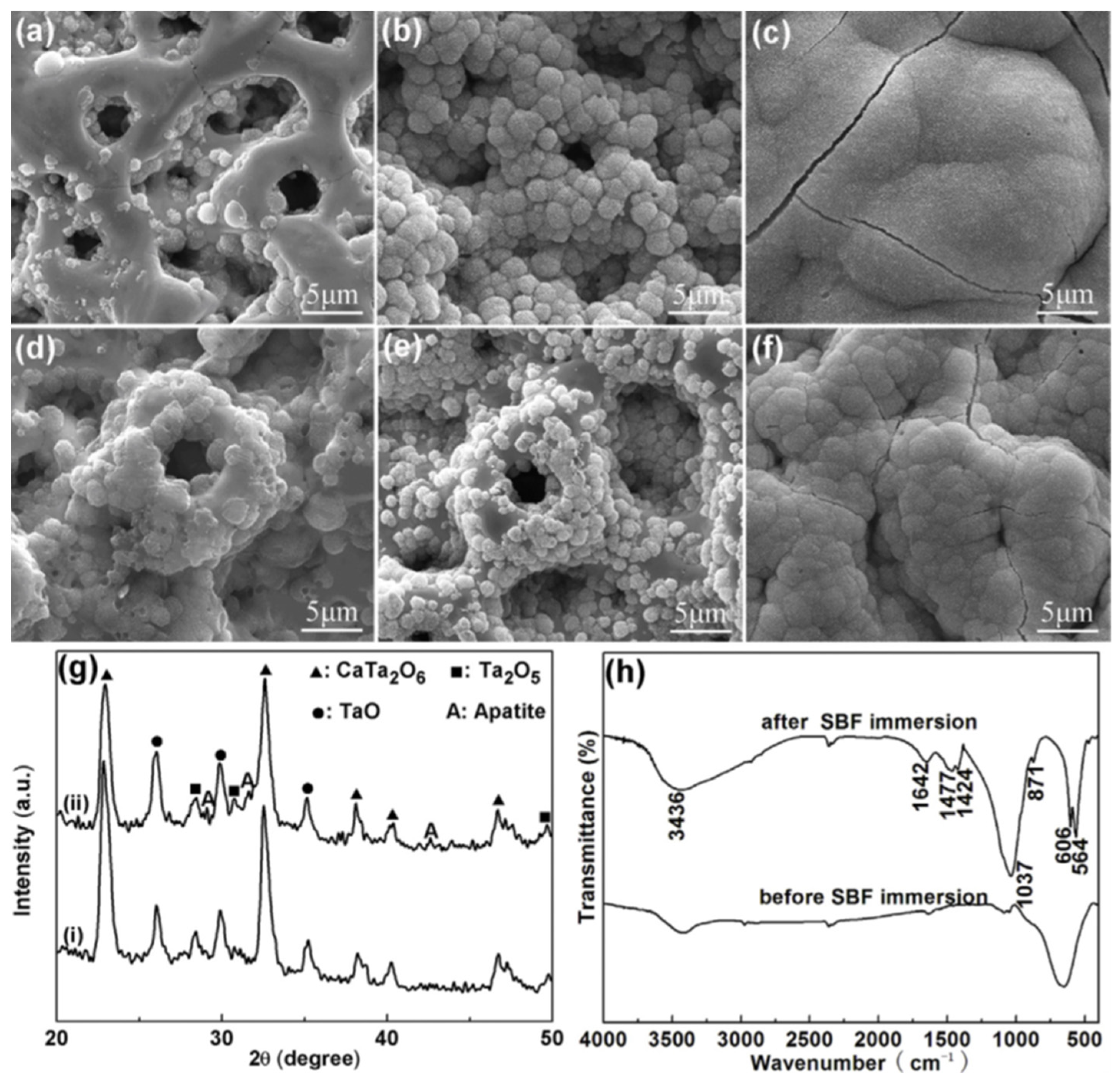 Nanomaterials 12 02319 g018