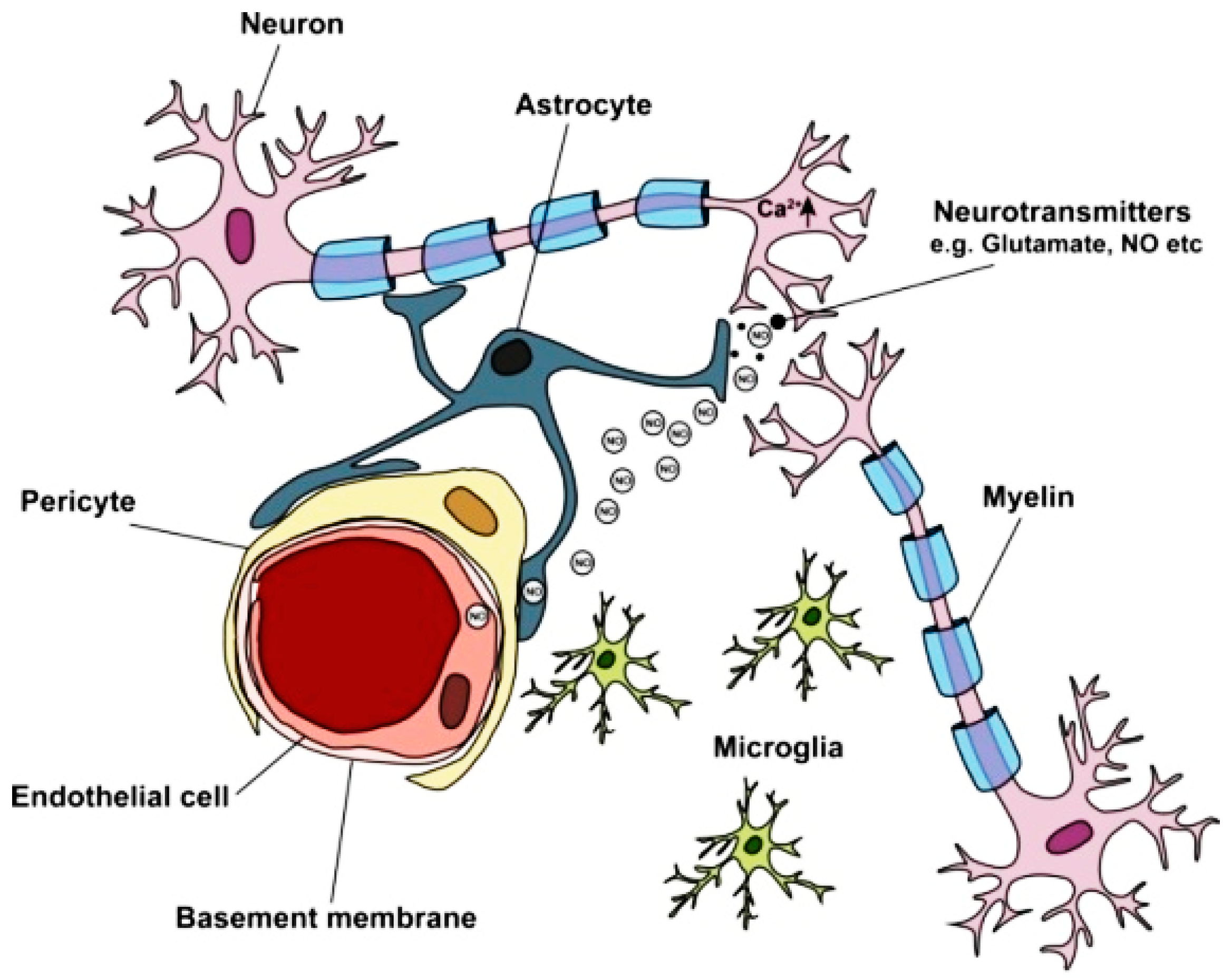Nanomaterials 12 02337 g002 Nanomaterials 12 02337 g002