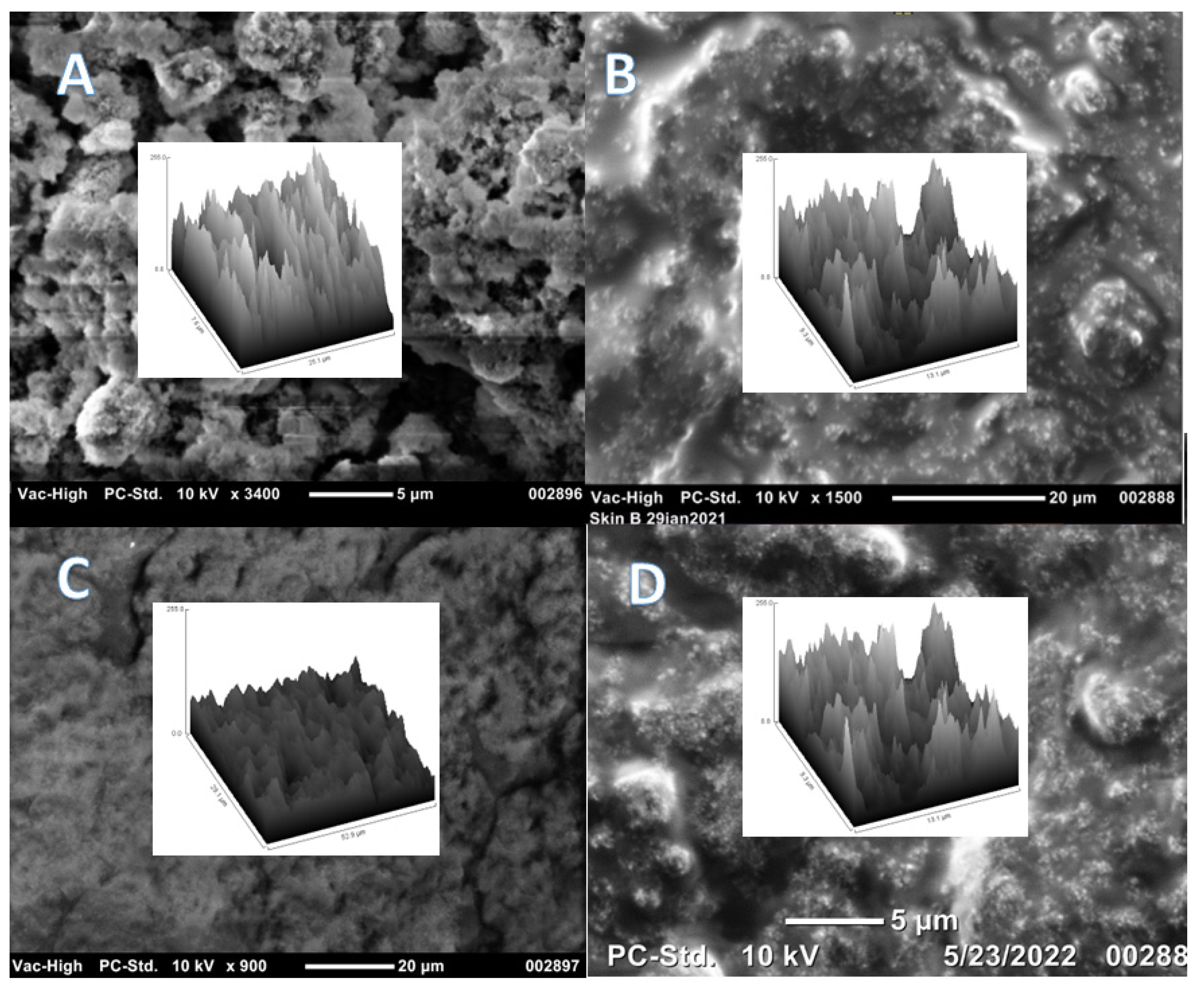 Nanomaterials 12 02348 g010