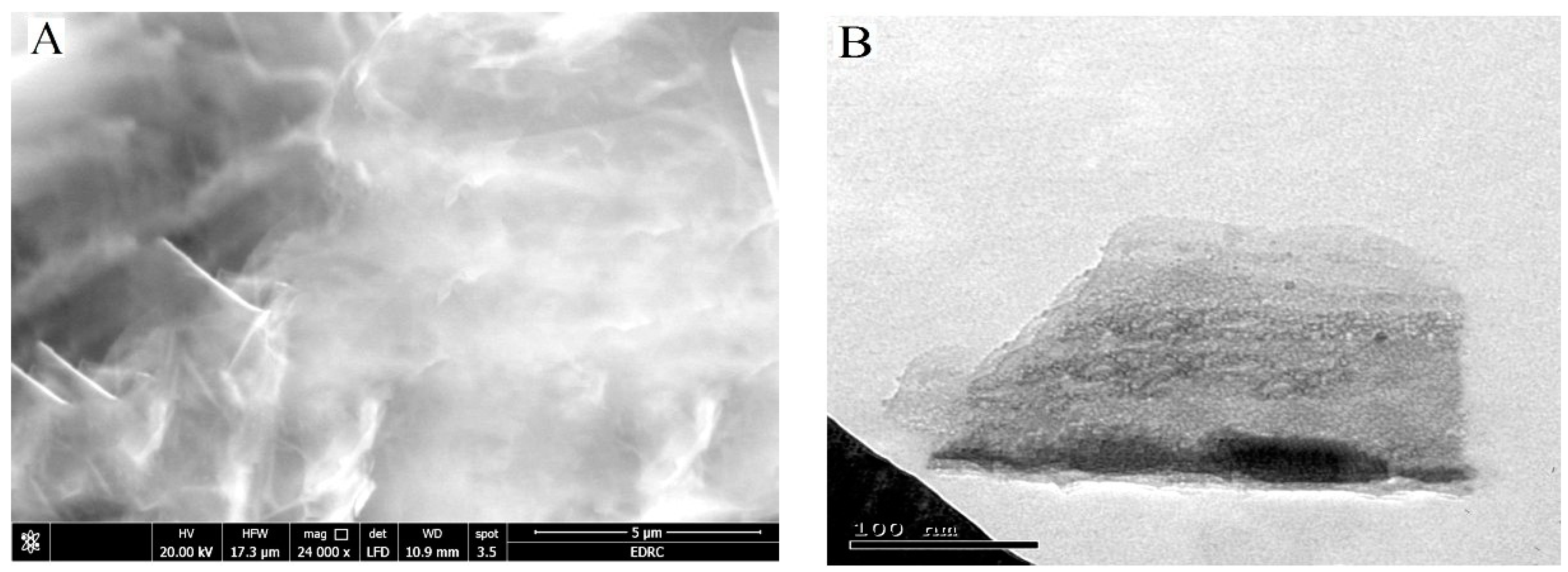 Nanomaterials 12 02354 g002