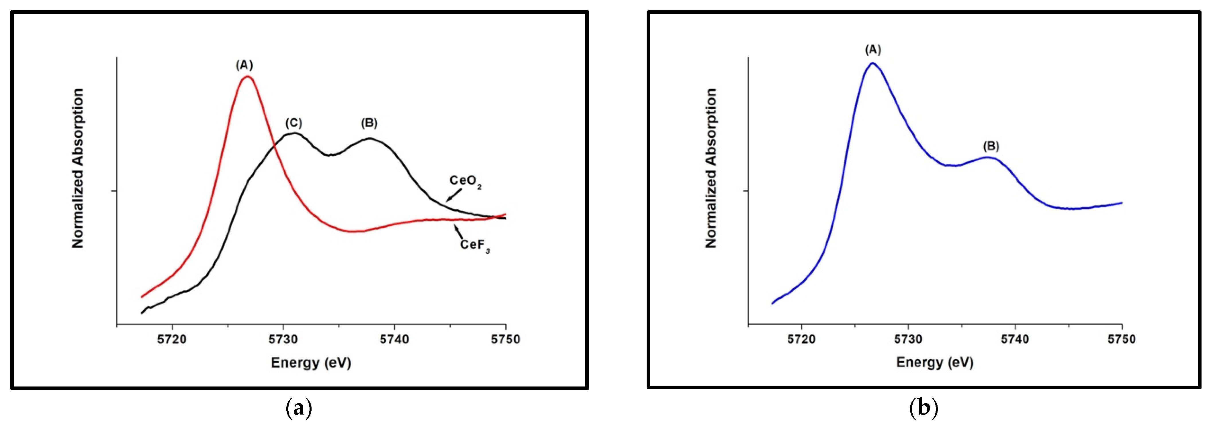 Nanomaterials 12 02363 g001