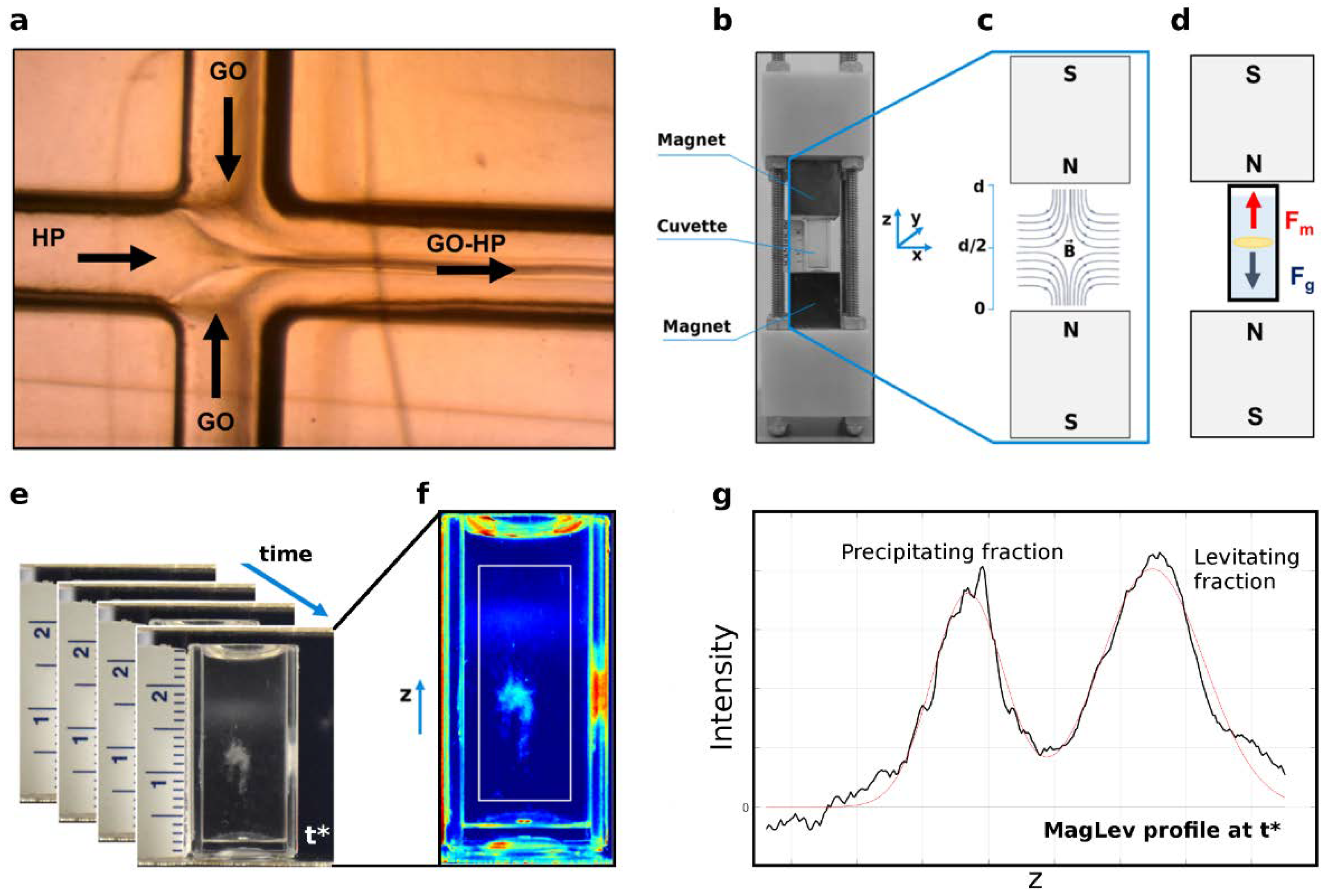 Nanomaterials 12 02376 g001