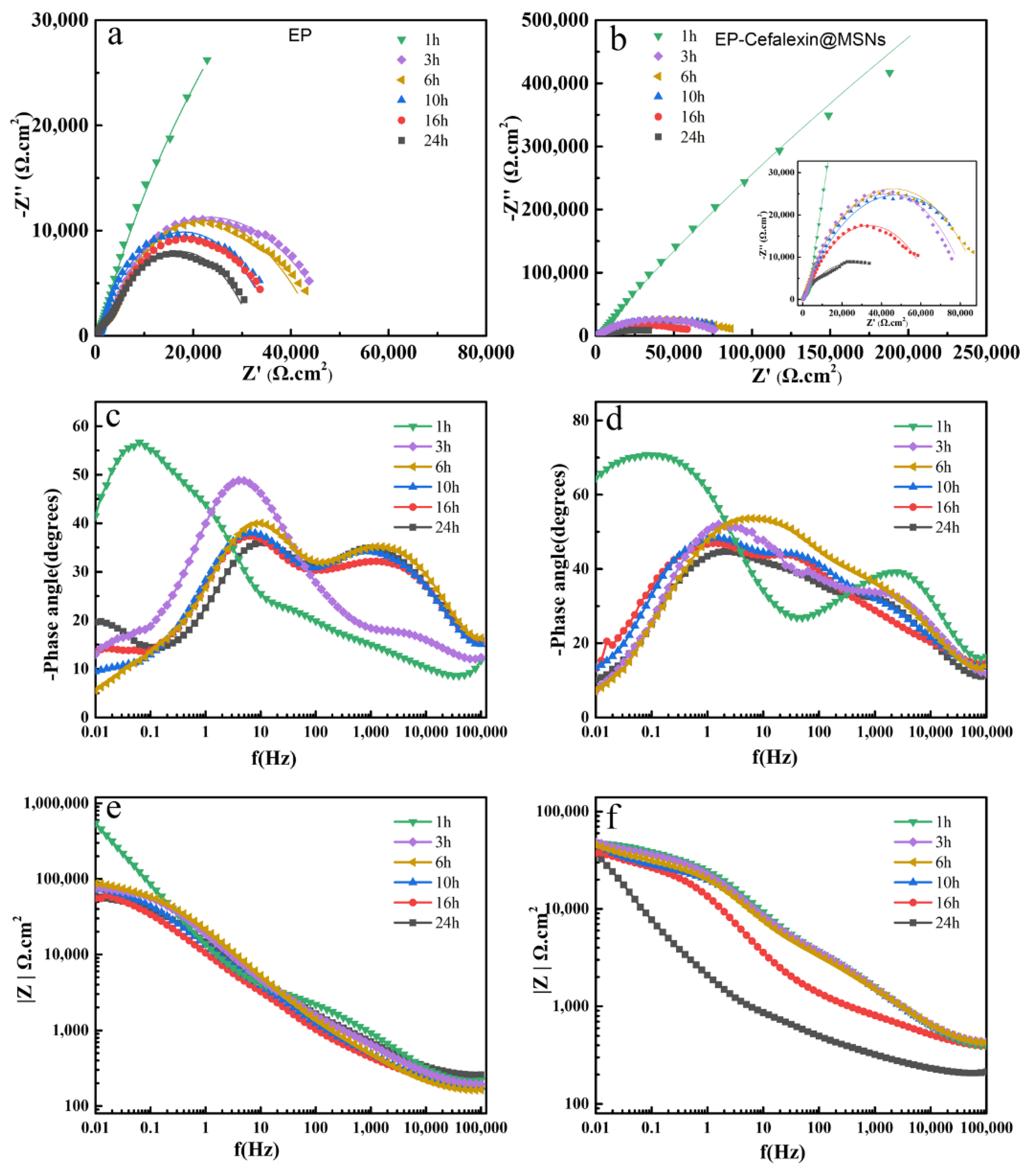 Nanomaterials 12 02406 g005