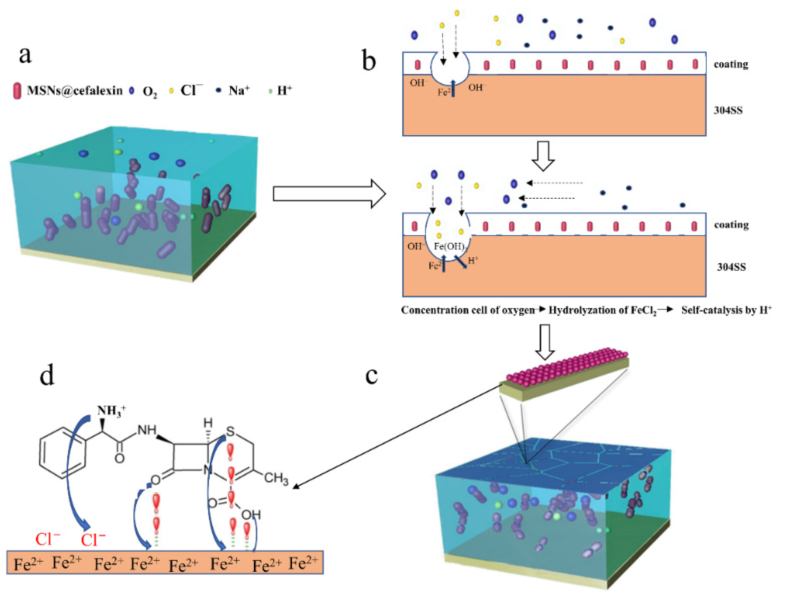 Nanomaterials 12 02406 g008