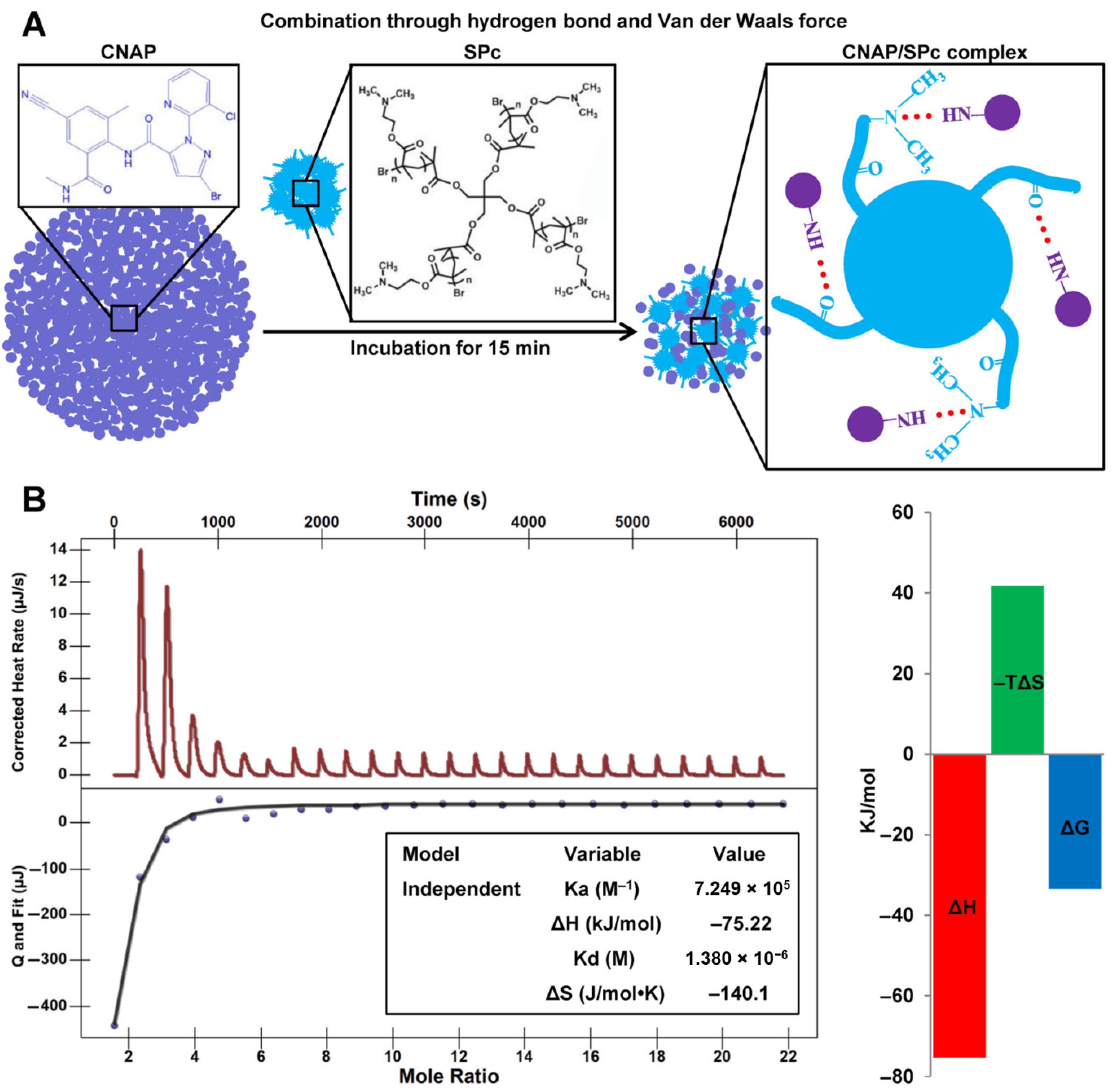 Nanomaterials 12 02419 g002